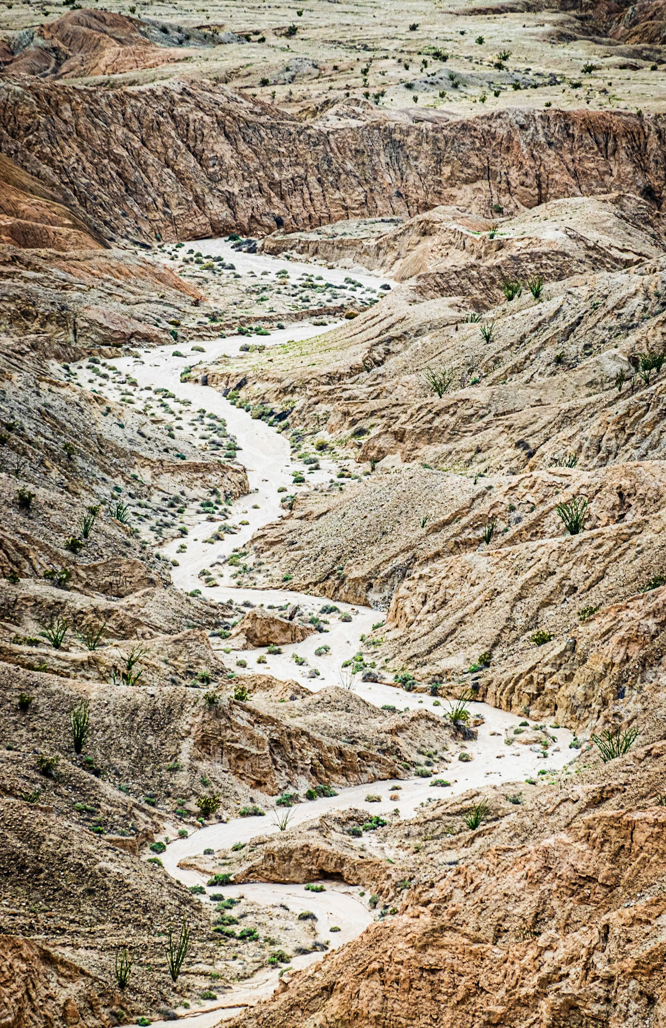 Desert Wash Portrait: In the Borrego Badlands viewed from Font's Point