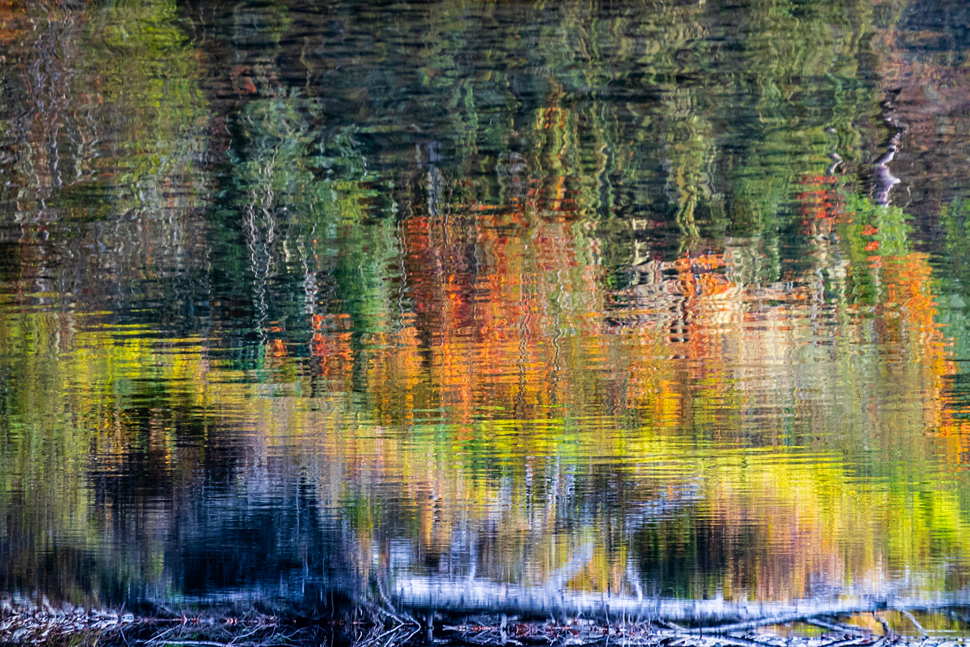 Fall Colors: Reflection on the Middle Fork of the Snoqualmie River.