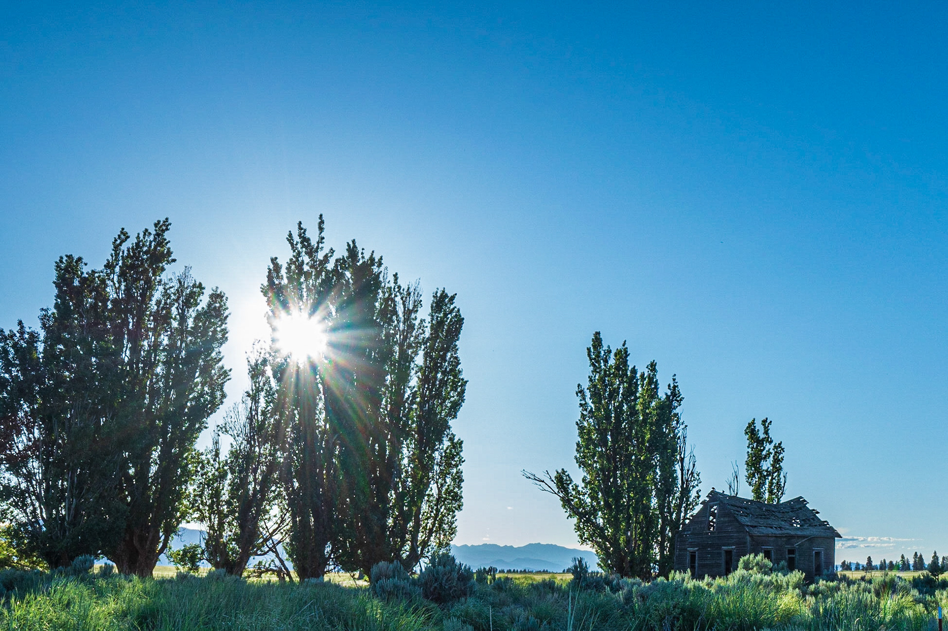 Abandoned Homestead: Afternoon sun setting on an old homestead nestled among shade trees on the Waterville Plateau near Dyer Washington.