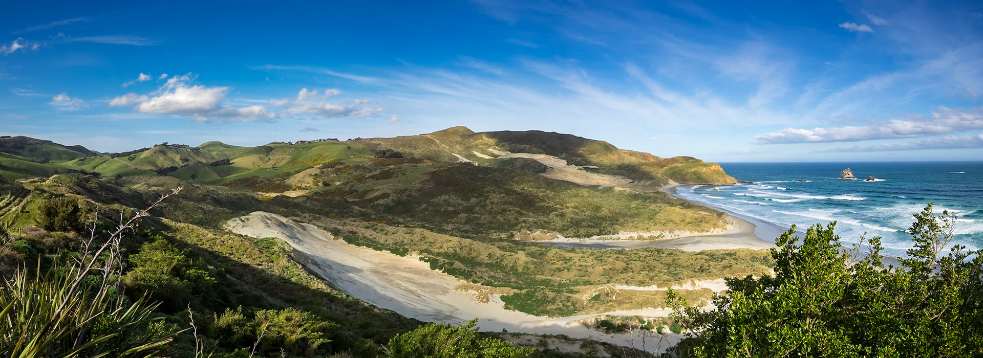 The Dunes at Sandfly Bay: Facing almost due south, Sandfly Bay gets its name from the flying sand carried on strong Antarctic winds.