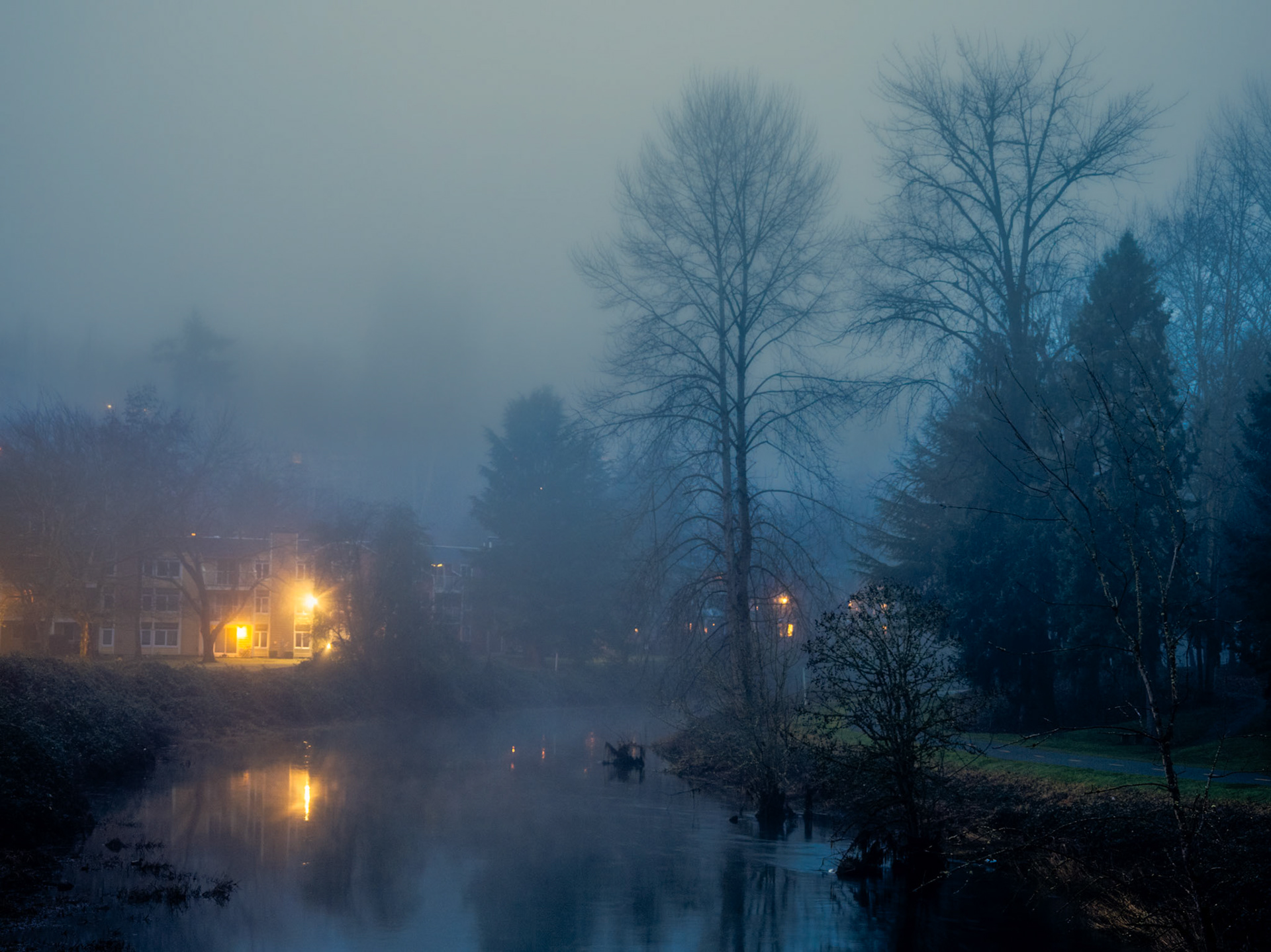 Morning Fog: A foggy January morning over the Sammamish River.