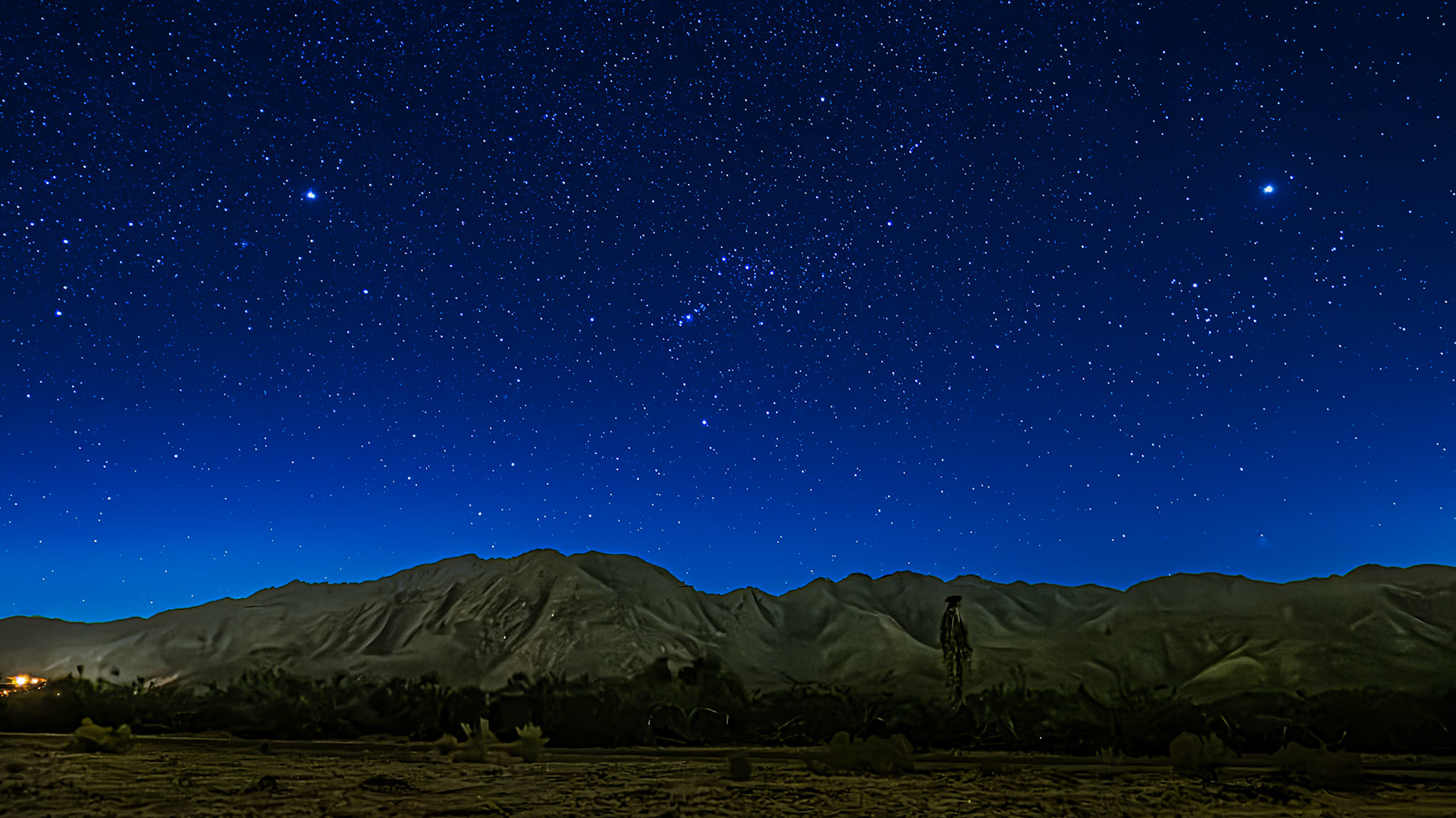 Stars Above San Ysidro: Soft moonlight and a clear starry sky washes gentle light over an orange grove near Borrego Springs and the nearby San Ysidro mountains.