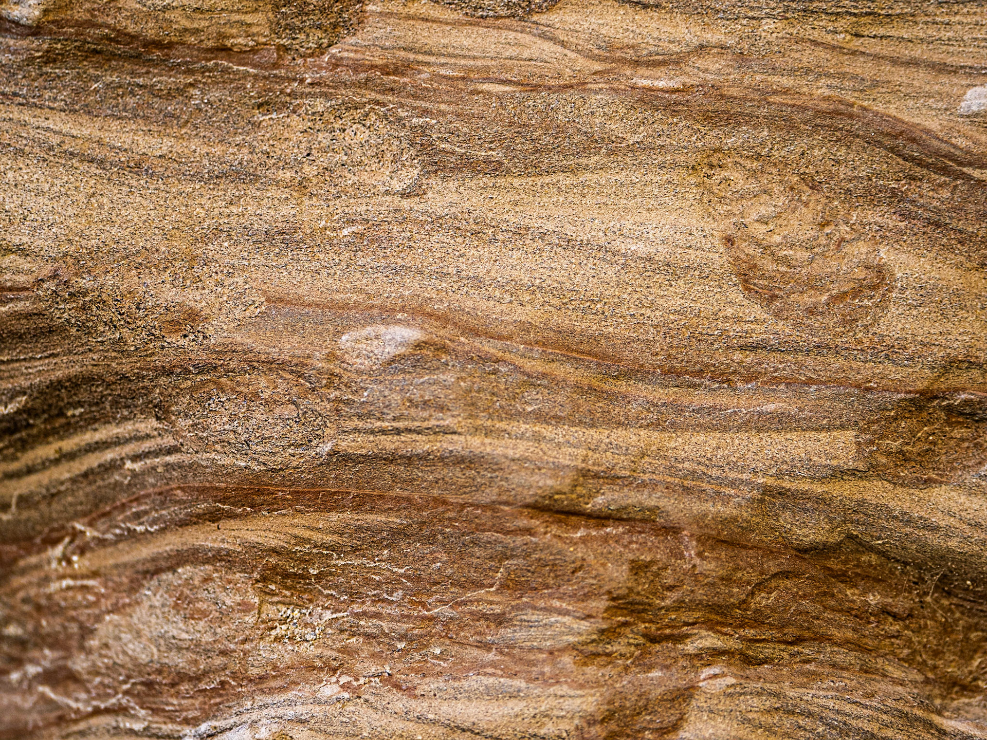 Sandstone Waves: In the slot canyon at West Palm Wash, Anza-Borrego Deseert State Park