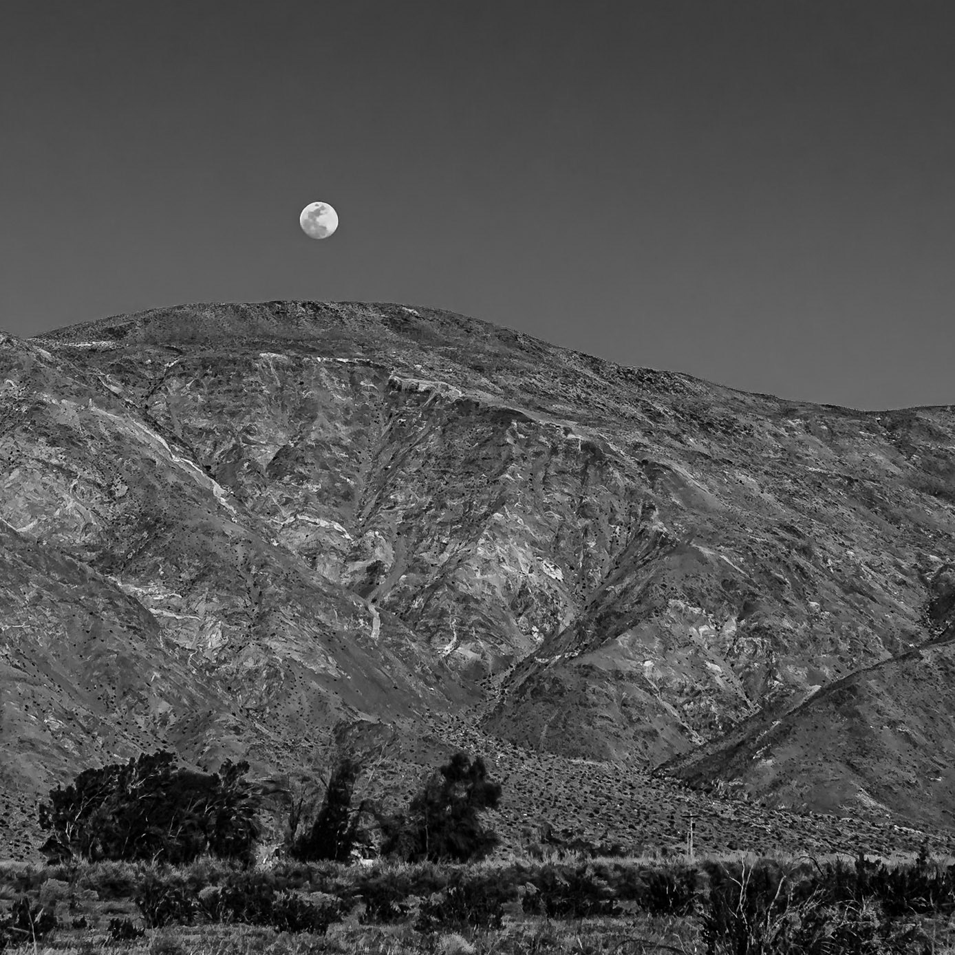 Golden Hour Moonrise over Coyote Mountain : Viewed across the creosote-bush studded, alluvial plain near the entrance to Coyote Canyon in the Anza-Borrego Desert.  A house nestled in a copse of willows sites at the far side of the plain at the foot of the mountain.