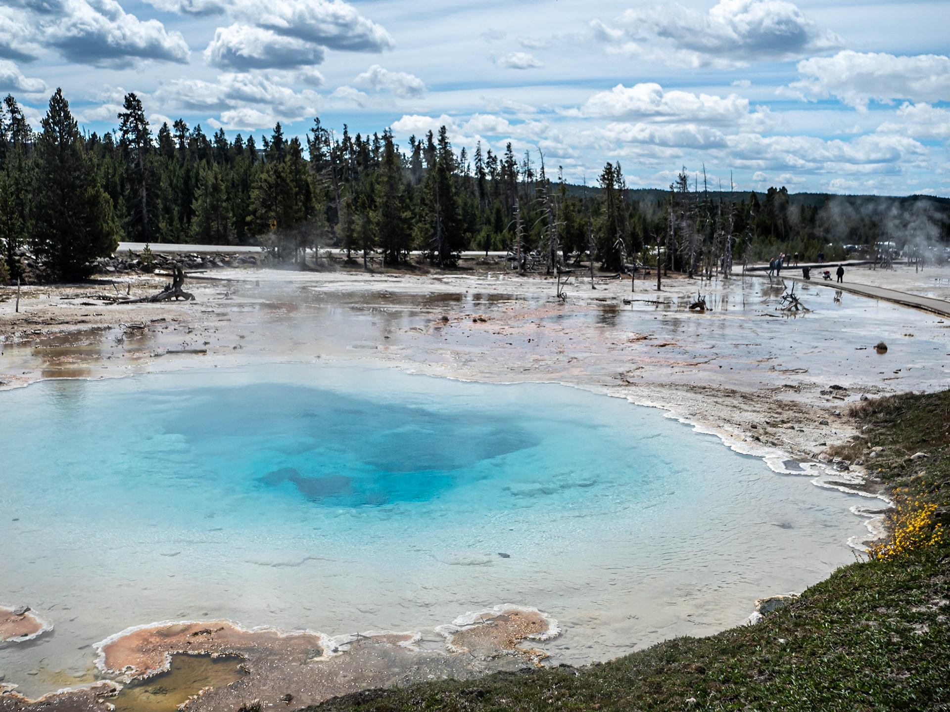 Blue Hot Spring: One of the hot springs at Fountan Paint Pots located in the Lower Geyser Basin, Yellowstone National Park.