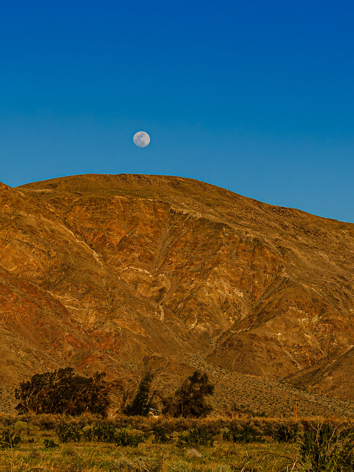 Golden Hour Moonrise over Coyote Mountain : Viewed across the creosote-bush studded, alluvial plain near the entrance to Coyote Canyon in the Anza-Borrego Desert.  A house nestled in a copse of willows sites at the far side of the plain at the foot of the mountain.
