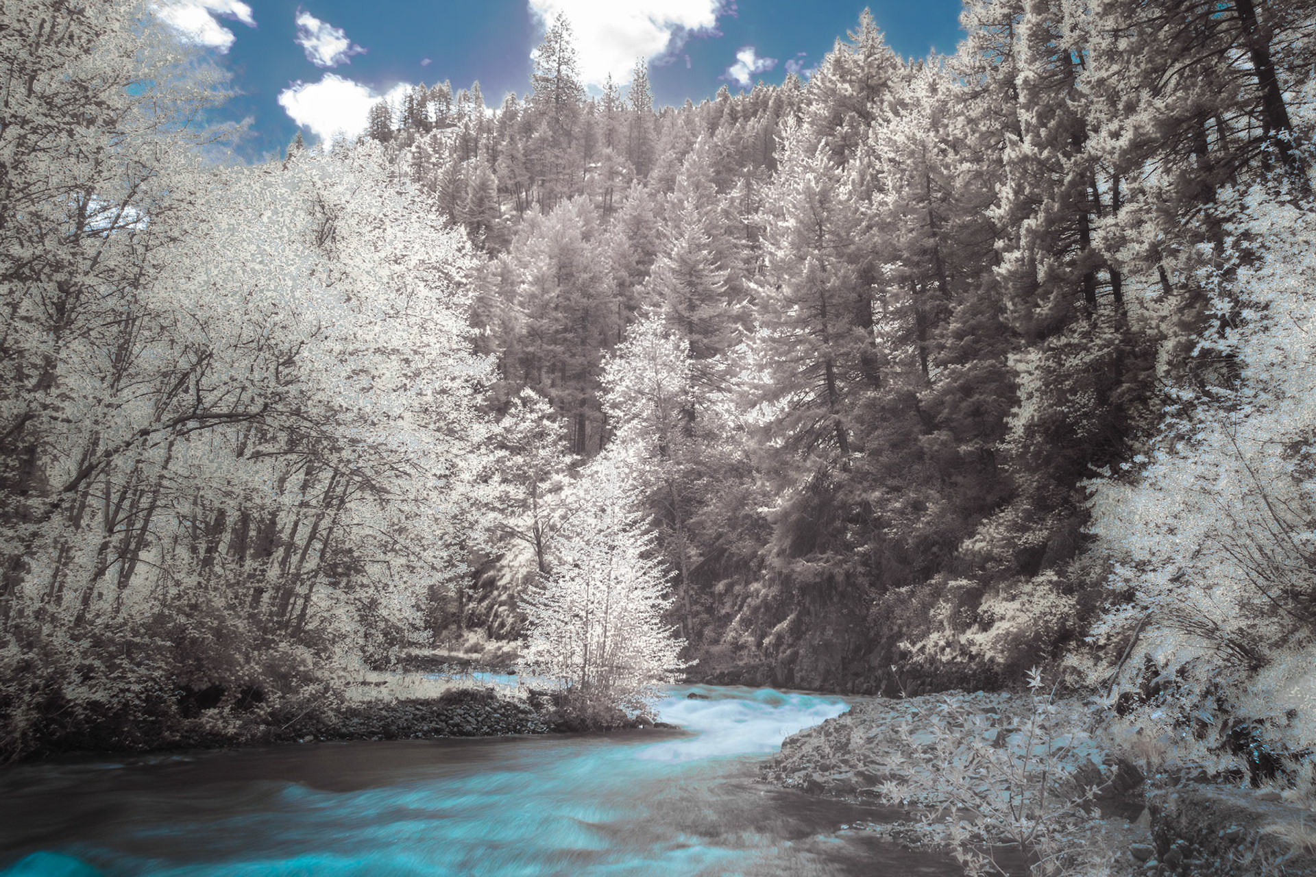 South Fork IRFC: The South Fork of the Walla Wall River flows from the Blue Mountains in northeast Oregon - IRFC (720 nm infrared false color image).