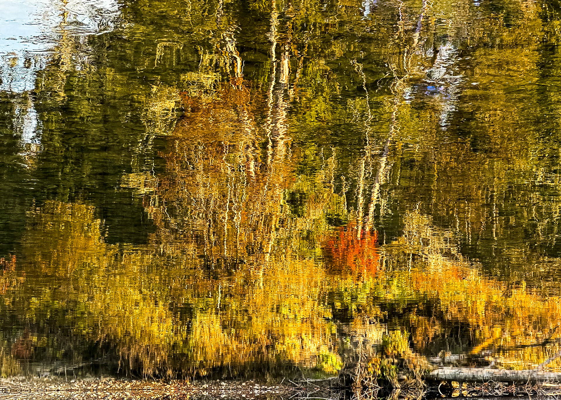 Fall Water Color: Autumnal foliage reflected in a pool of calm water in the Middle Fork of the Snoqualmie River.