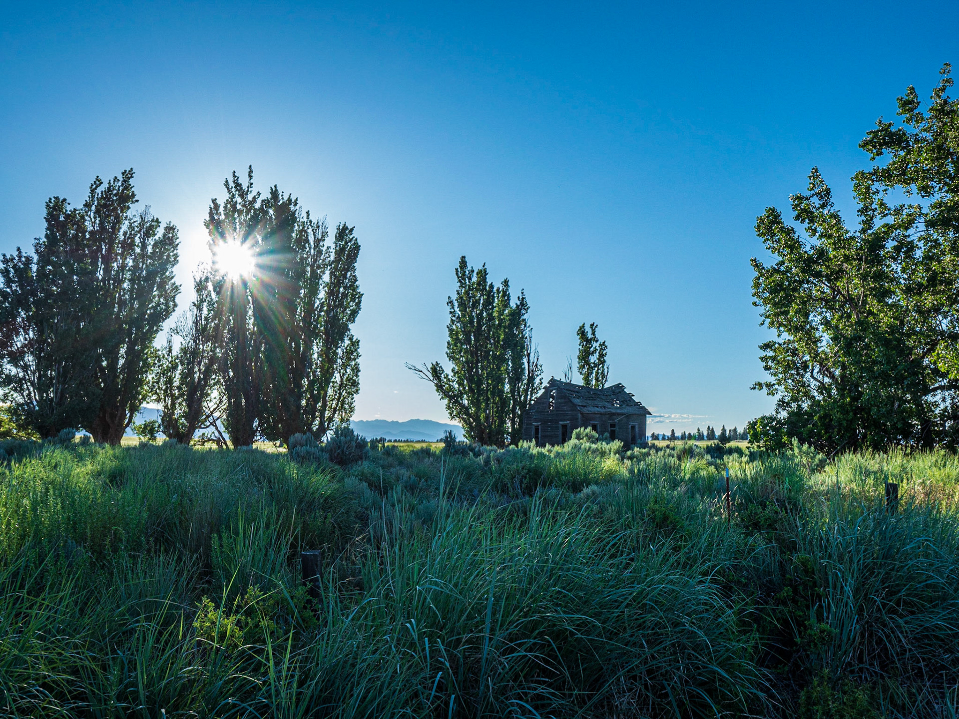 Abandoned Homestead: Afternoon sun setting on an old homestead nestled among shade trees on the Waterville Plateau near Dyer Washington.