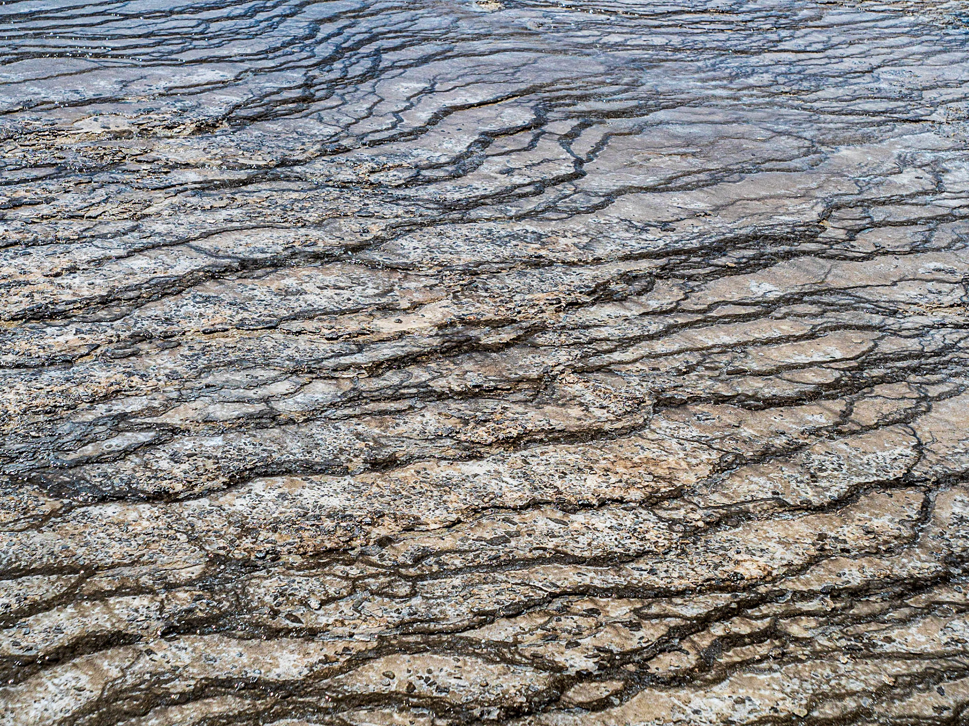 Mineralized Terraces: Hot water from the Grand Prismatic Spring deposits colorful terraces of minerals and microorganisms as it flows to the Firehole River.