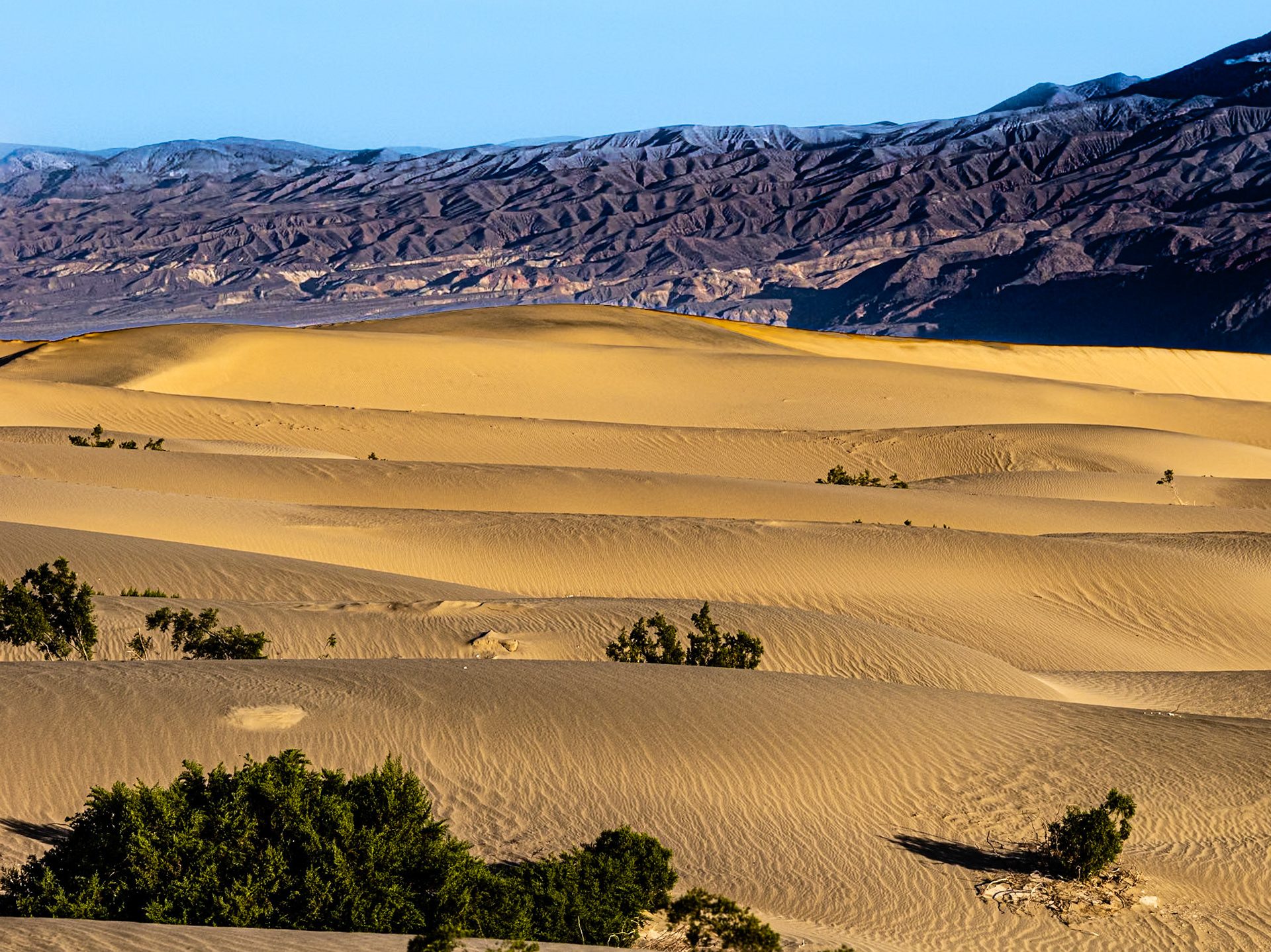 Ripples and Ridges:  Mesquite Flat Sand Dunes wiht the Grapevine Mountains in the background.