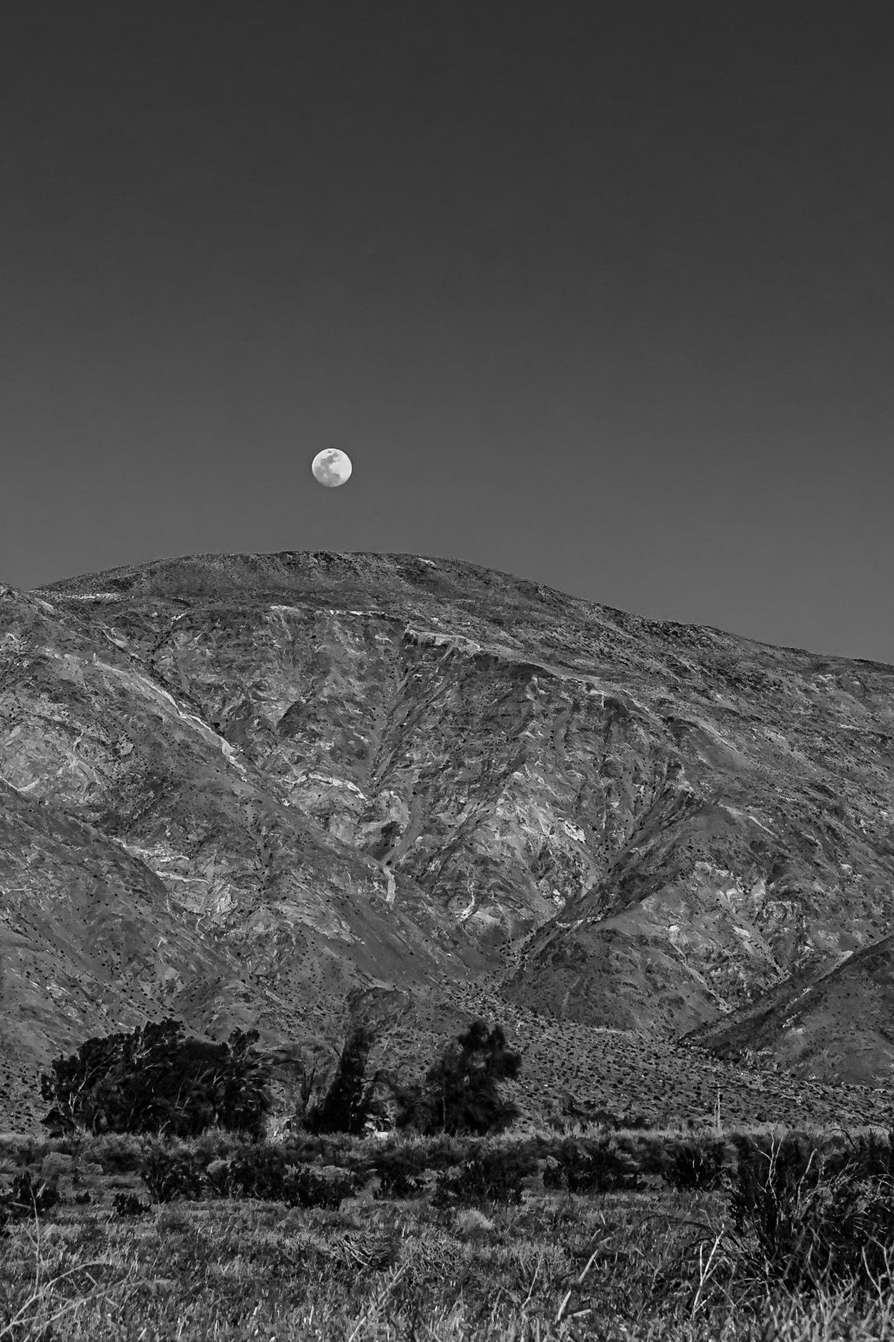 Moonrise over Coyote Mountain Black-and-White: A homestead in a copse of willows and Coyote Mountain sit beneath a rising moon.
