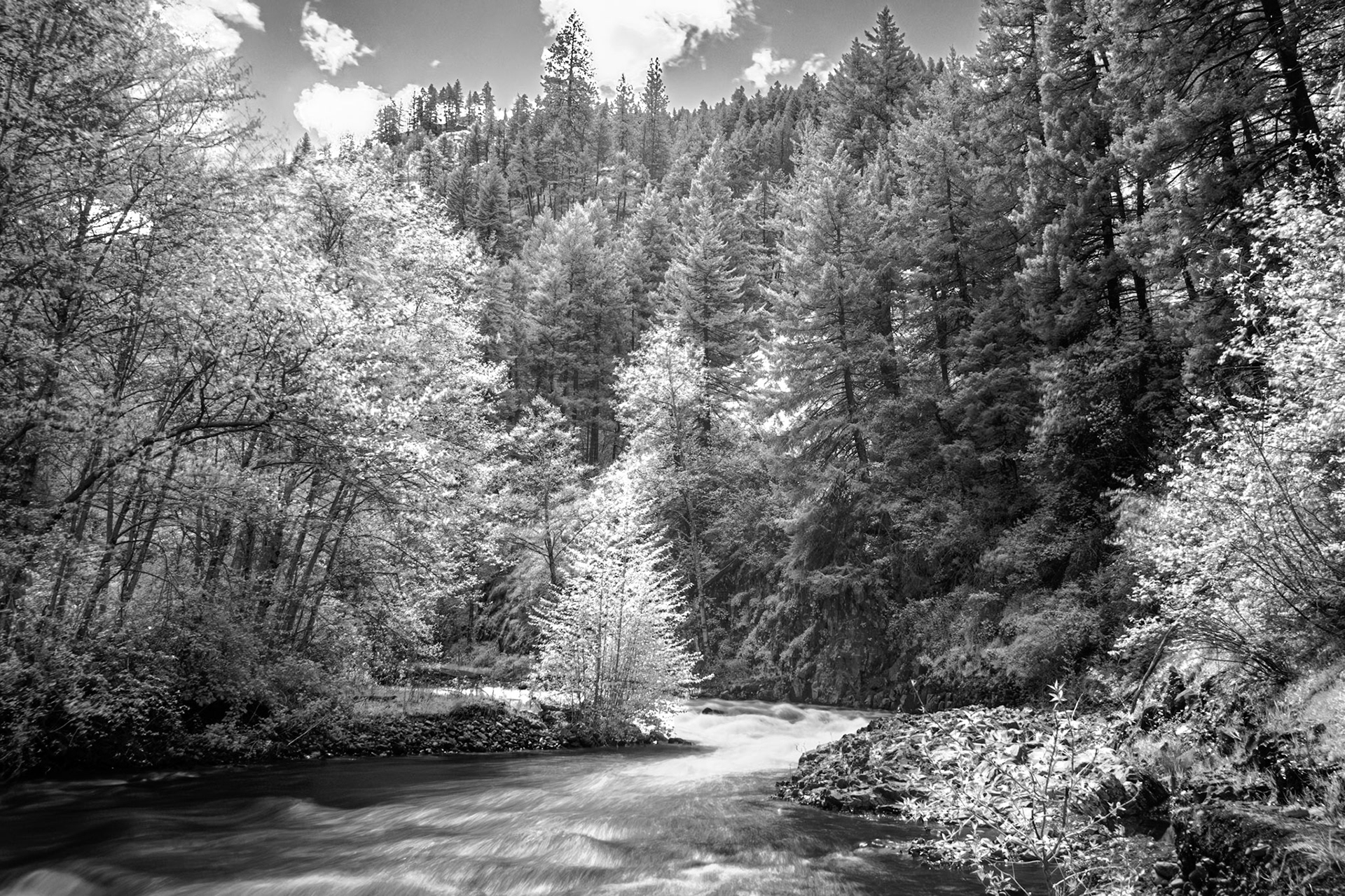 South Fork IRFC: The South Fork of the Walla Wall River flows from the Blue Mountains in northeast Oregon - IR (720 nm infrared B&amp;W conversion)