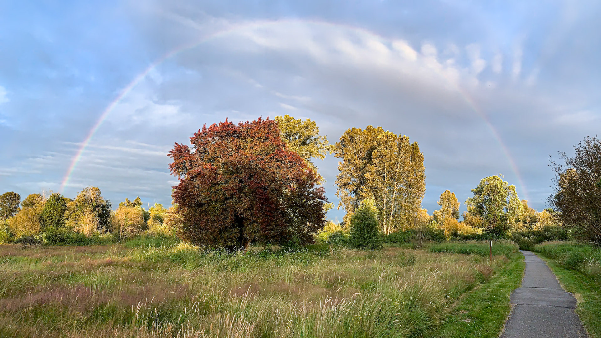 Under the Rainbow: The Heron Trail  loops under a rainbow at Marymoor Park in Redmond WA.