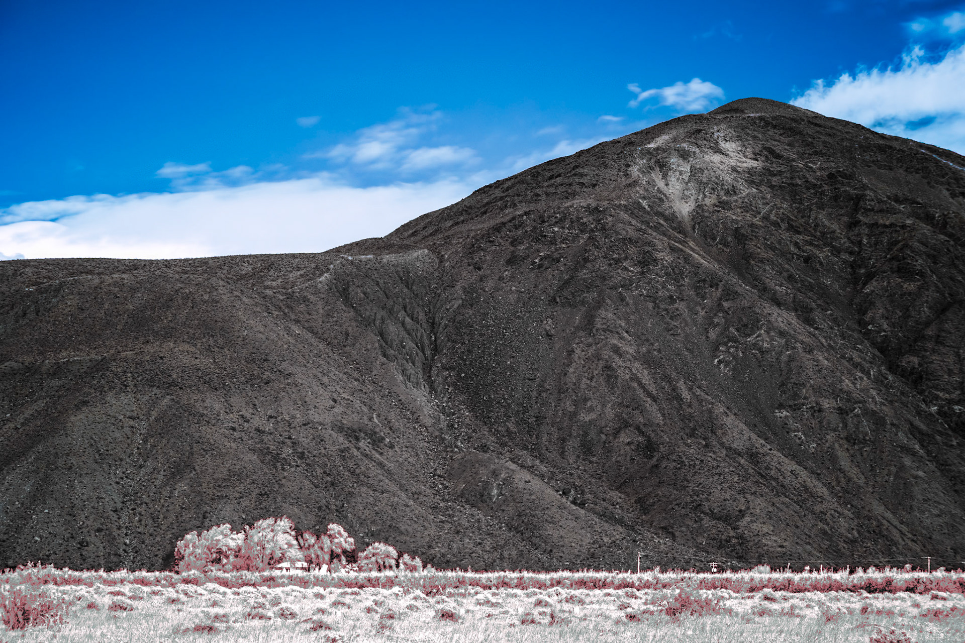 Farmhouse Under the Mountain IRFC: A farmhouse in a copse of trees at the base of Coyote Mountain in Anza-Borrego Desert State Park. Infrared (720 nm) false color image.
