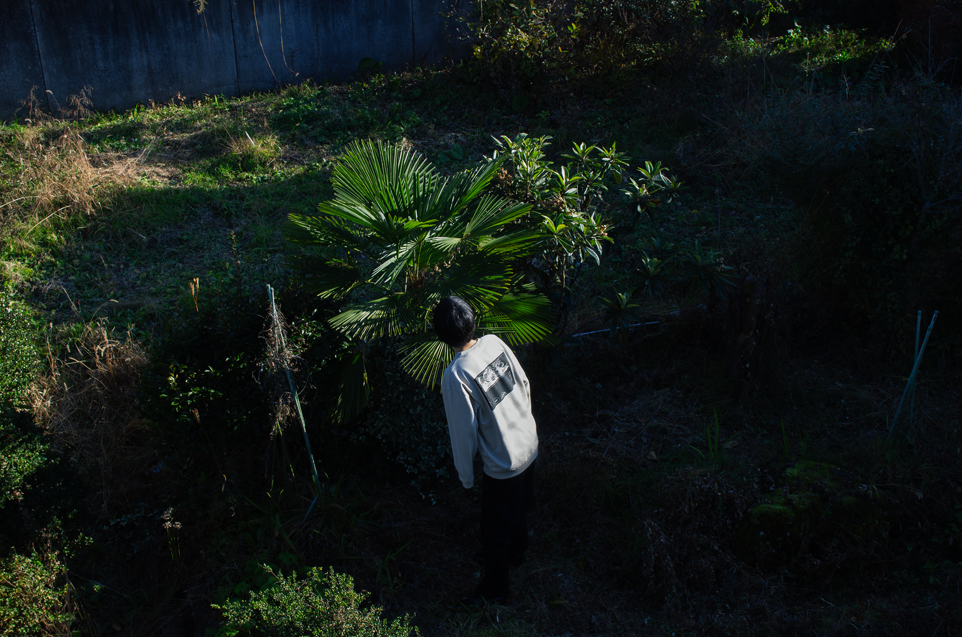 2024 「radix garden」