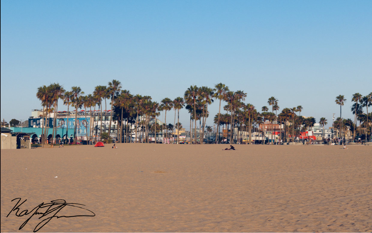 Venice Beach. Los Angeles, CA. 2020