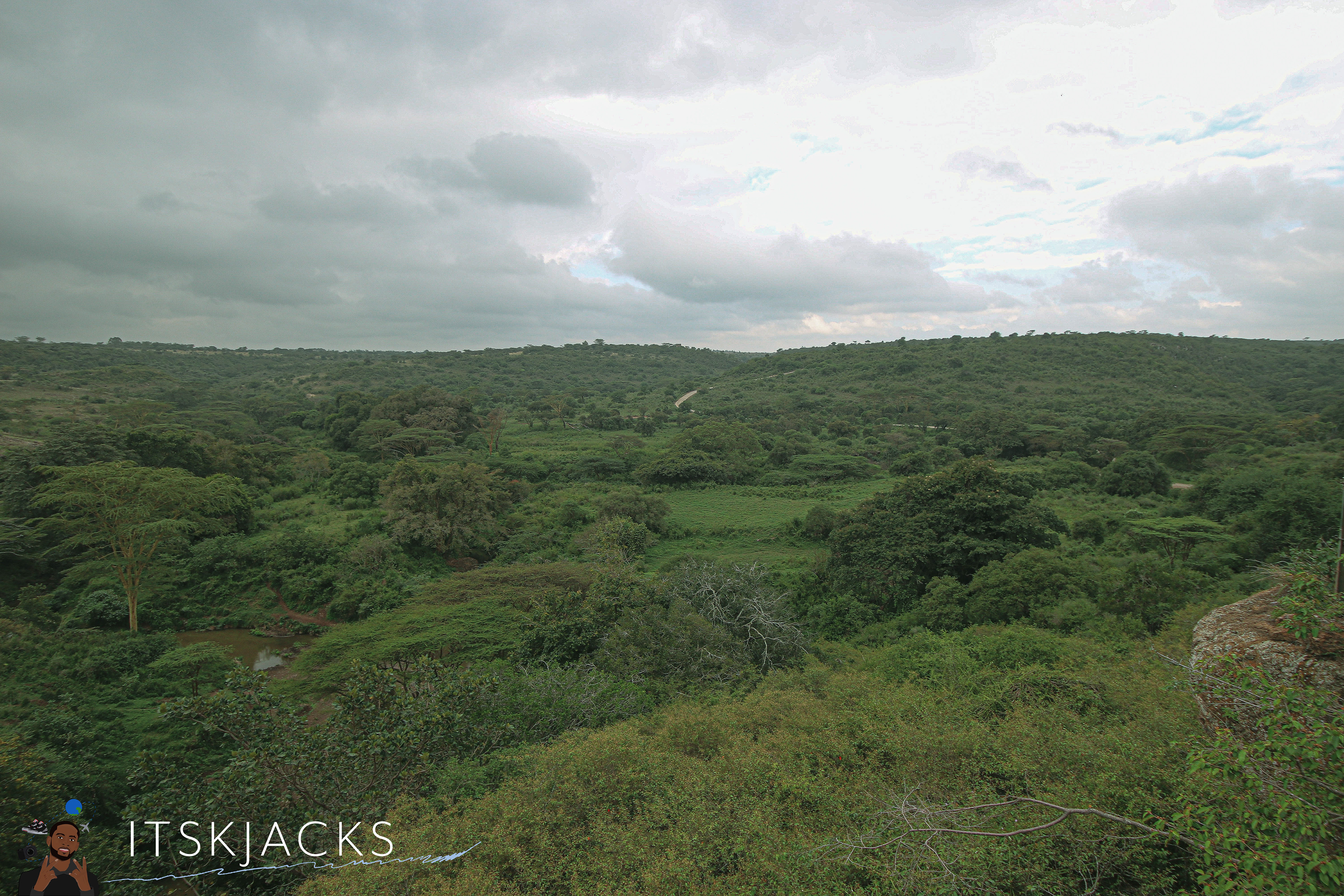 Nairobi National Park. 2021