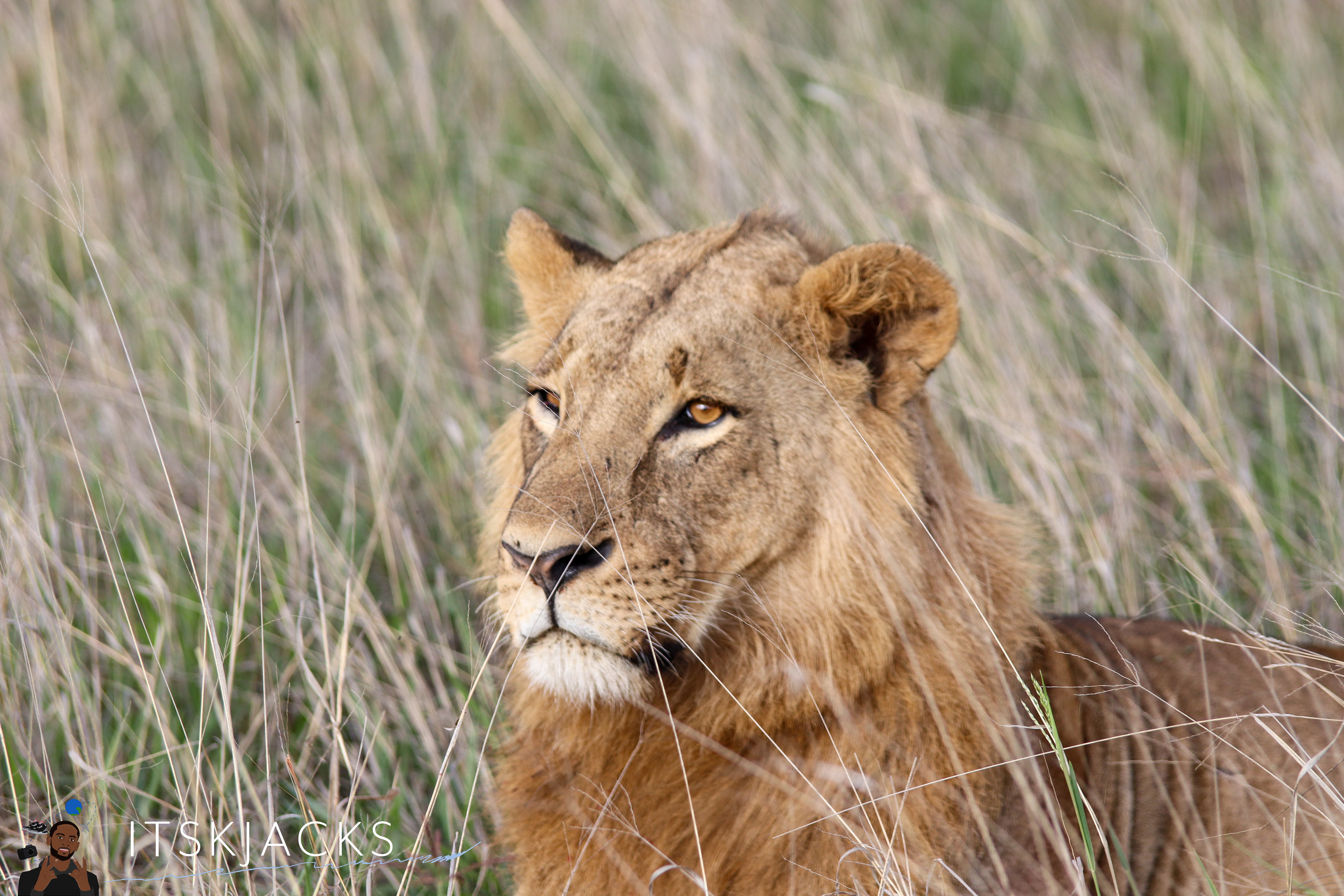 Young Simba. Nairobi. 2021