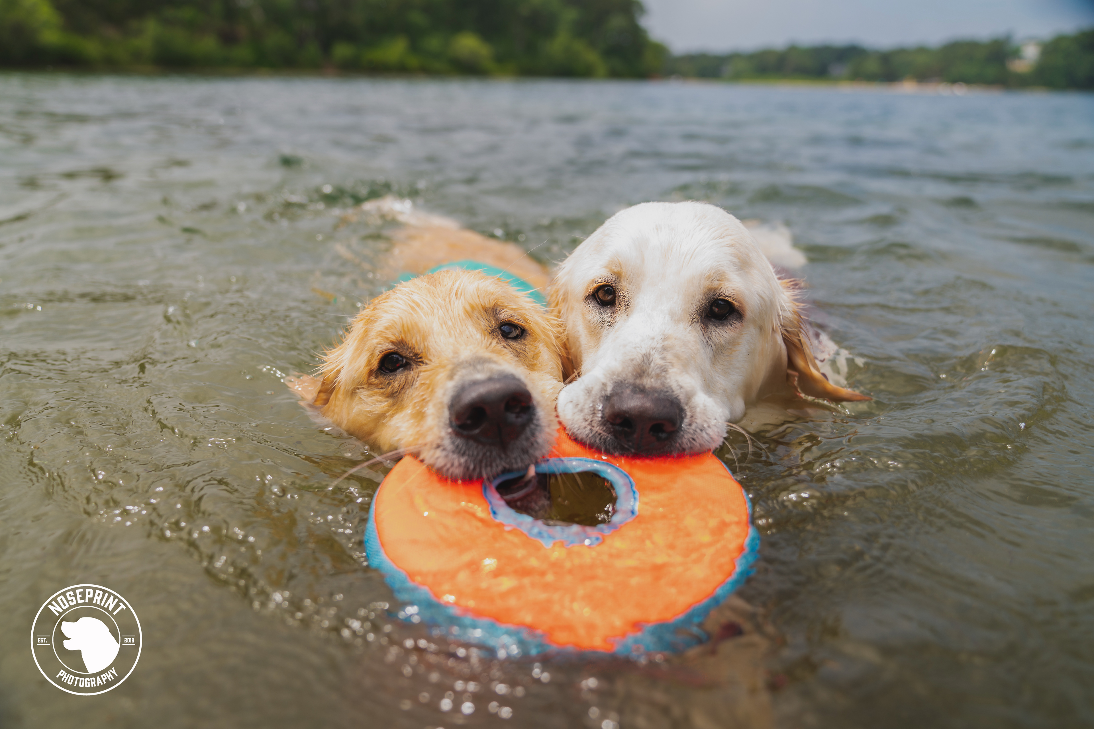 Lucy & Maverick - Cape Cod (2022)