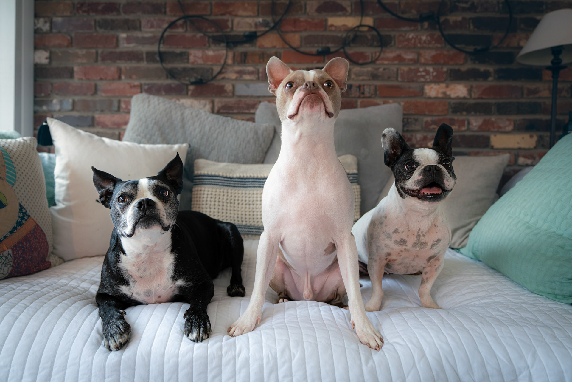 Clyde, Jack and Maddie