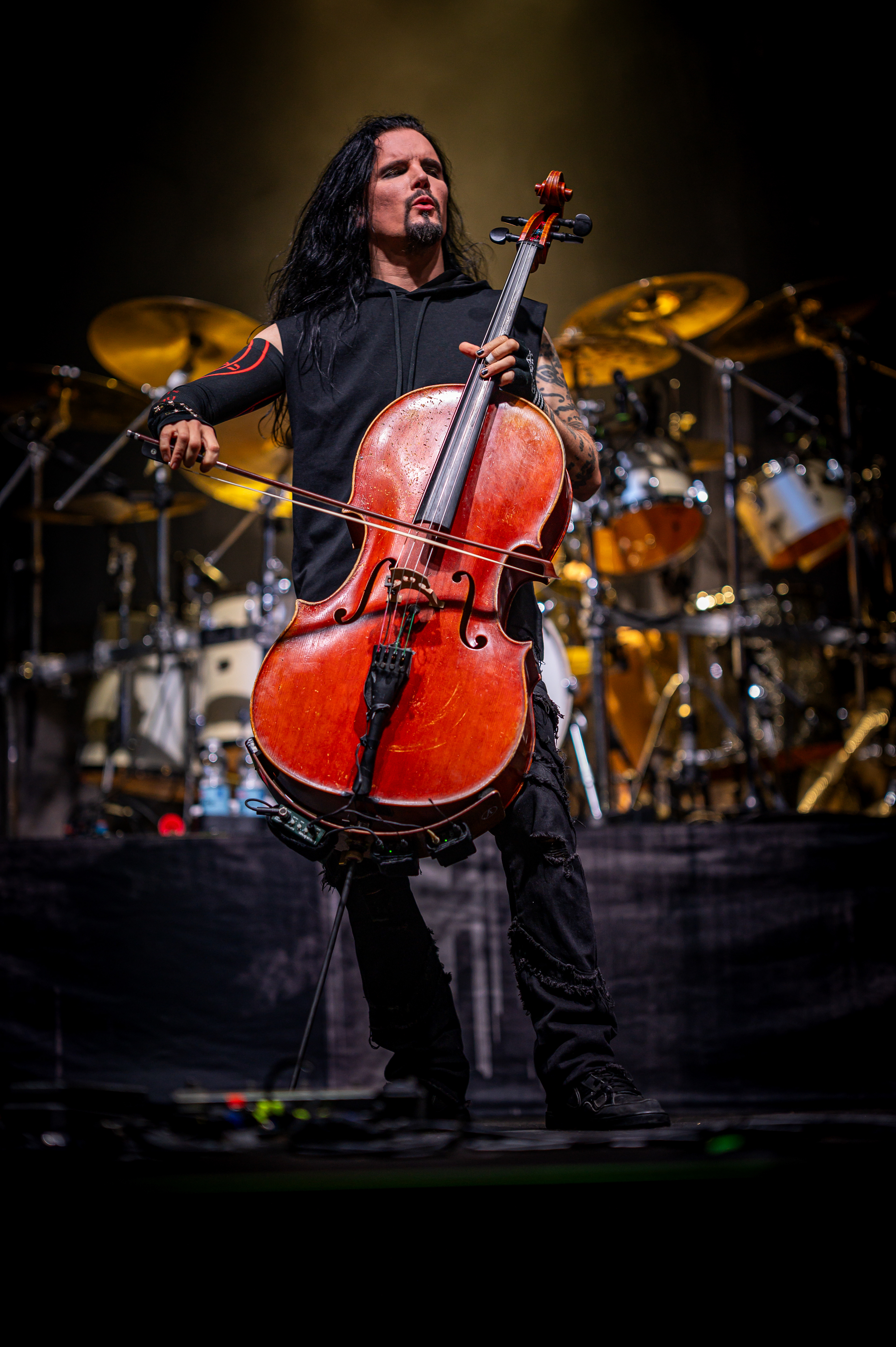 Dinosaurock Mikkeli - Apocalyptica
