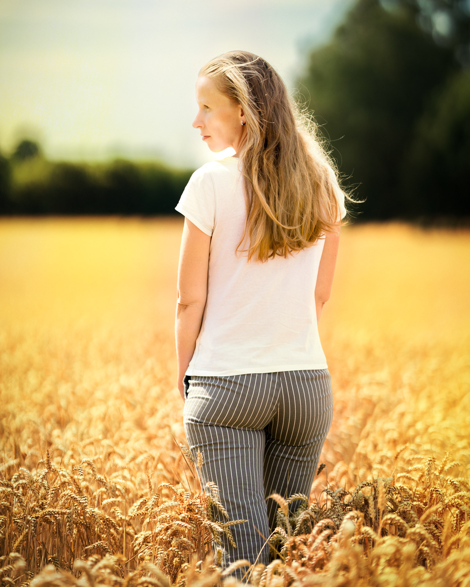 Portait auf einem Feld bei Mölln