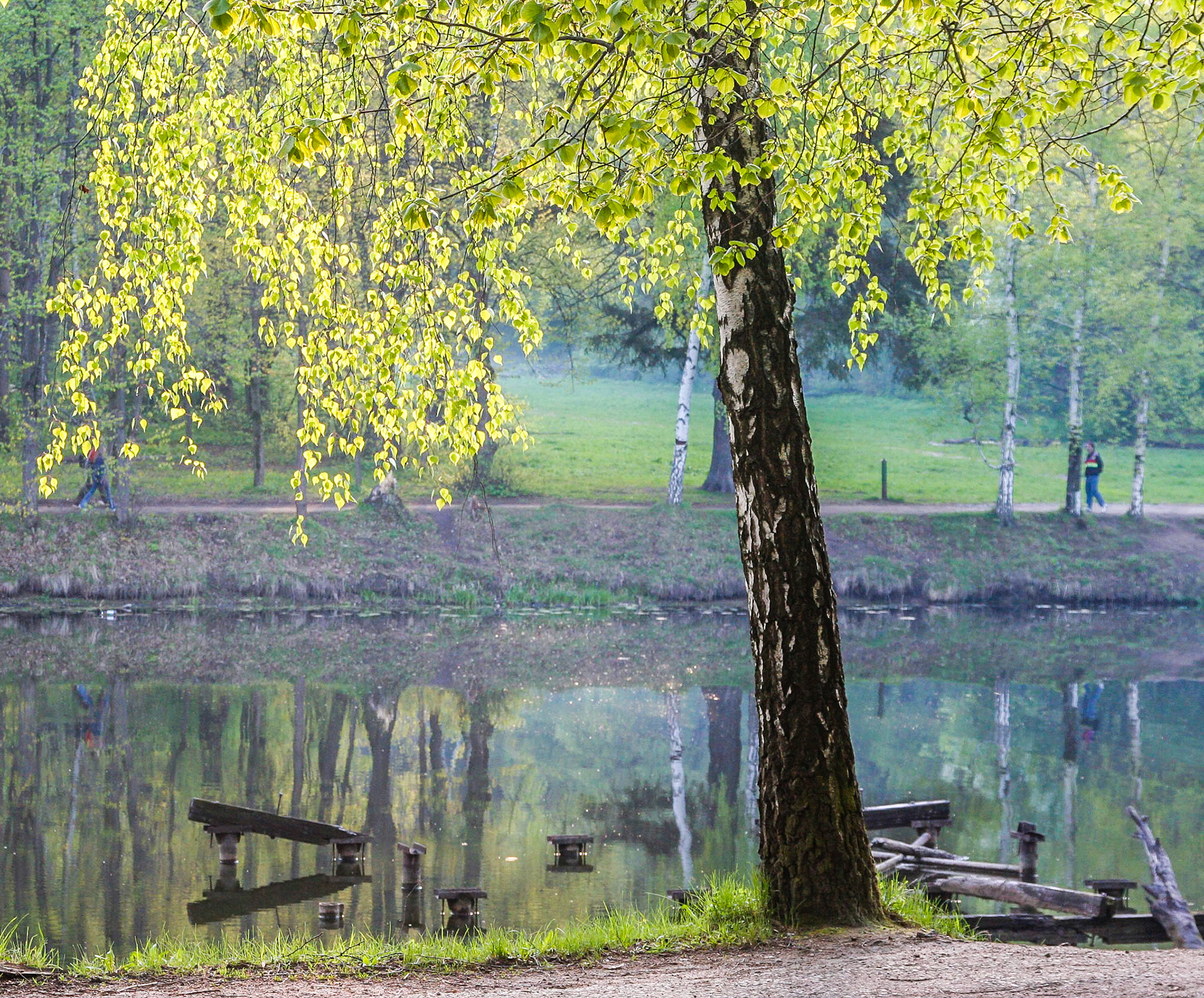 запруда на реке Чермянка в усадьбе Нехлюдово, бывшая Ворошиловская дача