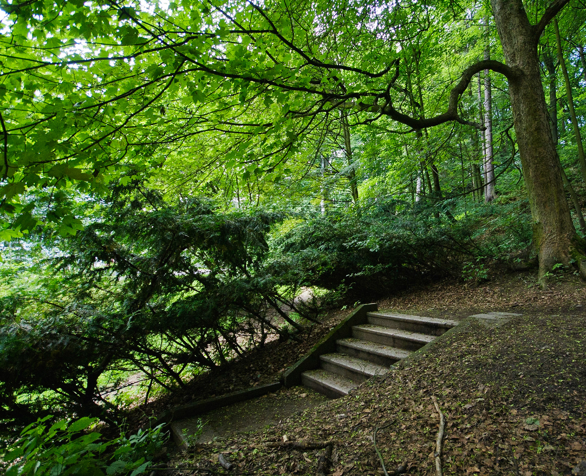 Вход на тропу ведущую к смоторвой площадке Диана