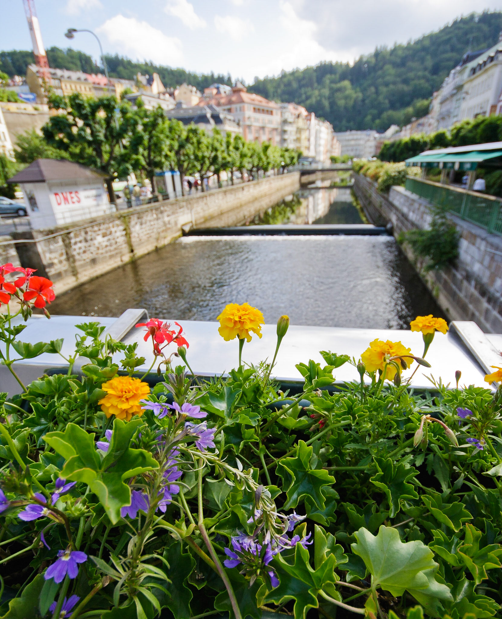 Цветы в клумбе на мосту через реку Тепла