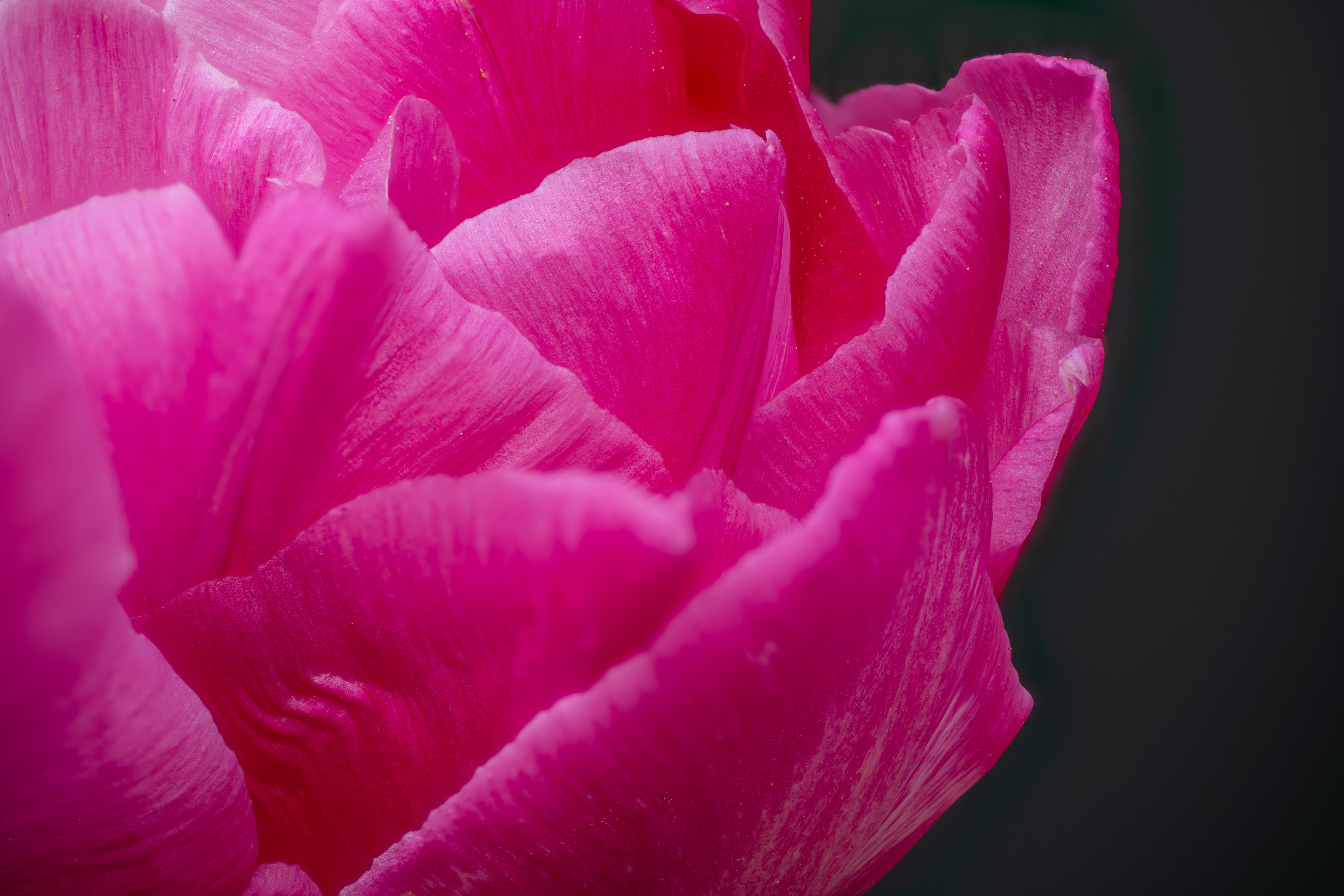 Tamron 90mm 101stacks