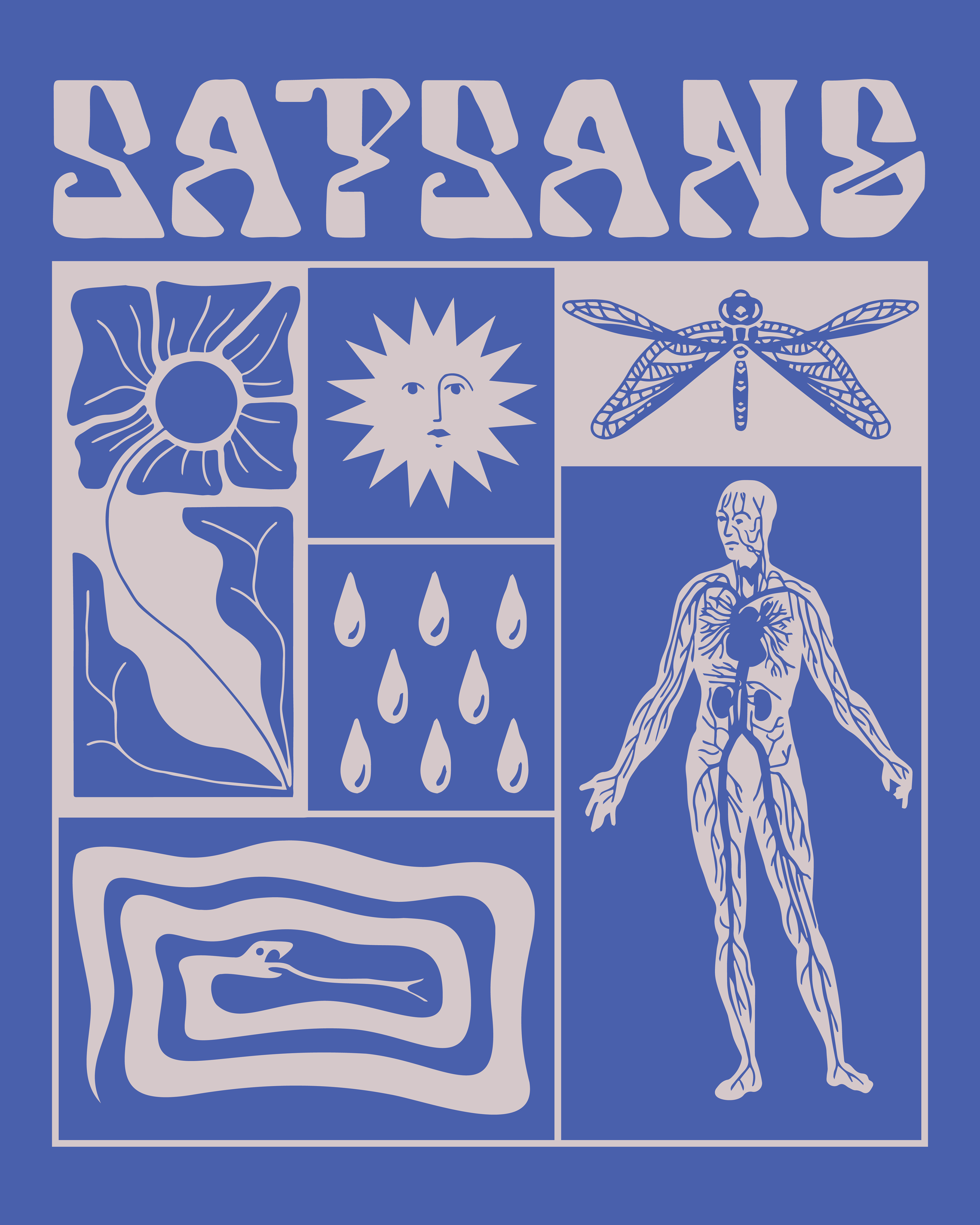 Satsang Merch (T-Shirt), 2024.