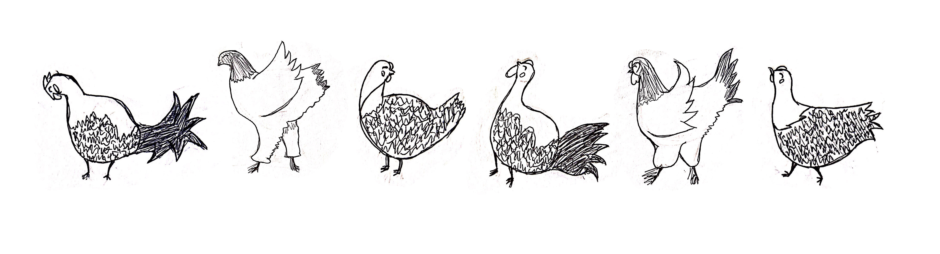 First sketch of the three types of chickens
