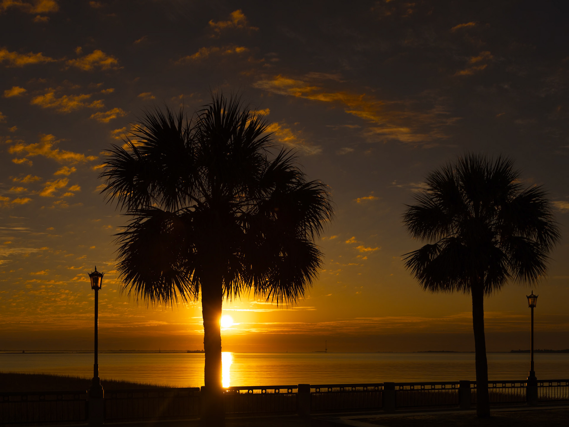 Sunrise at Waterfront Park, Charleston