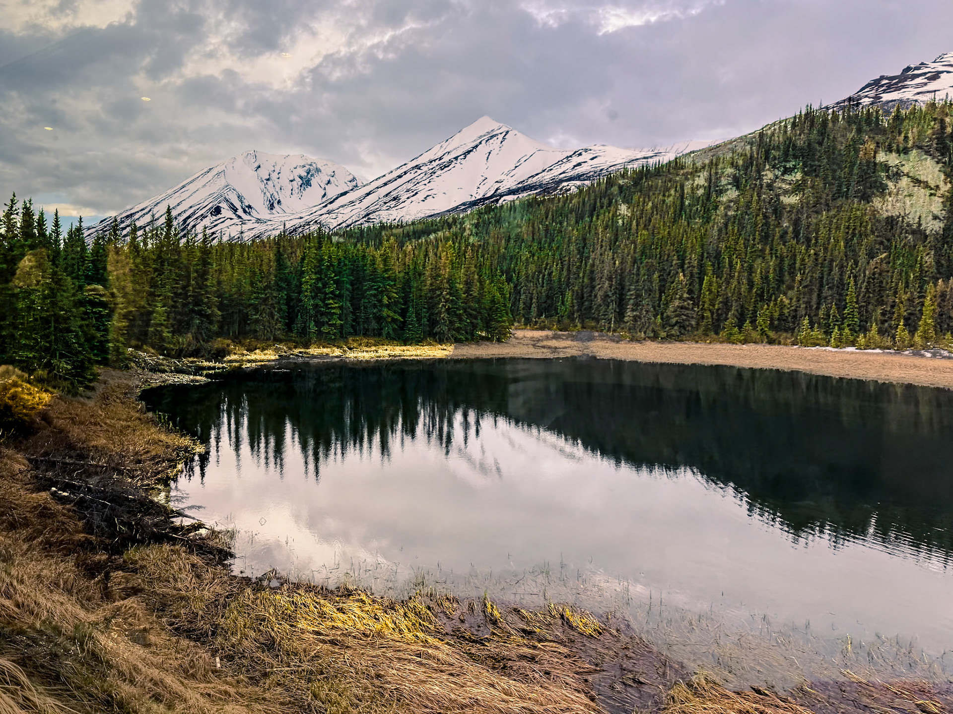 In Denali National Park