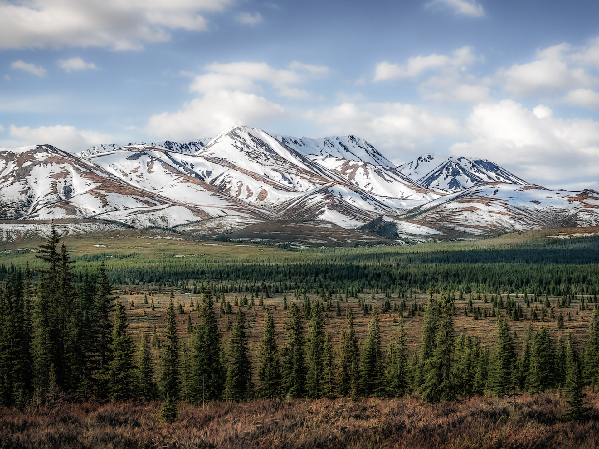 Cantwell, AK (Near Denali)