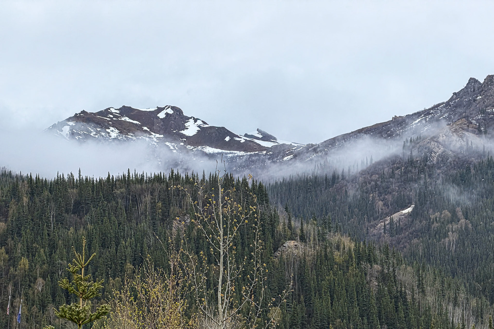 From Our Lodgings, Denali