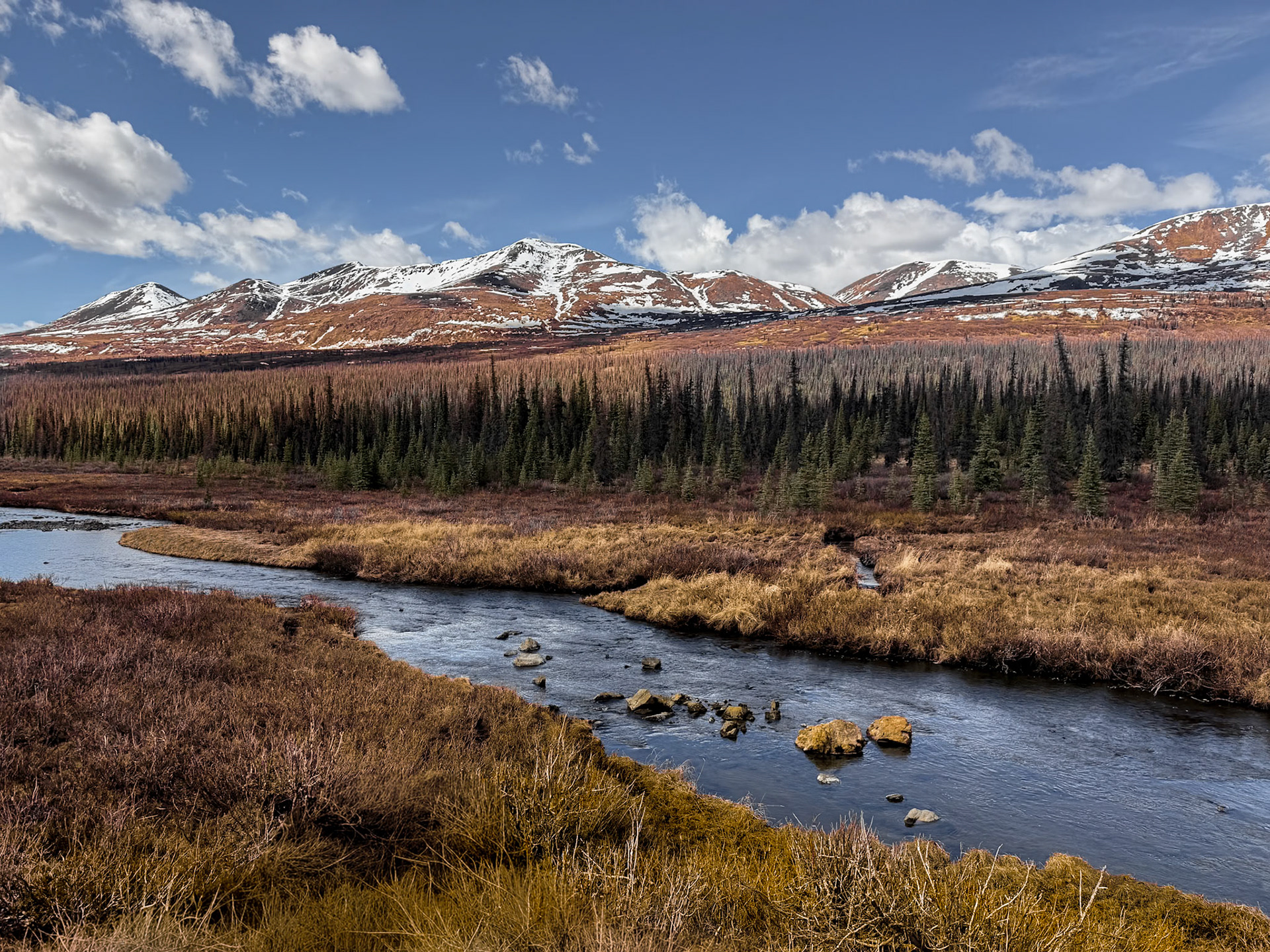 Brook in Cantwell