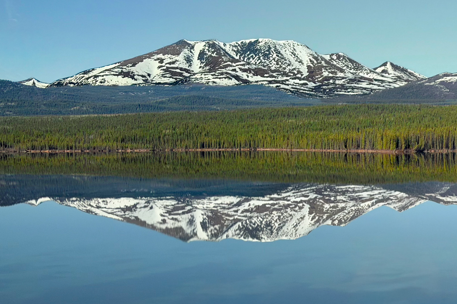 On the Road to Dawson City