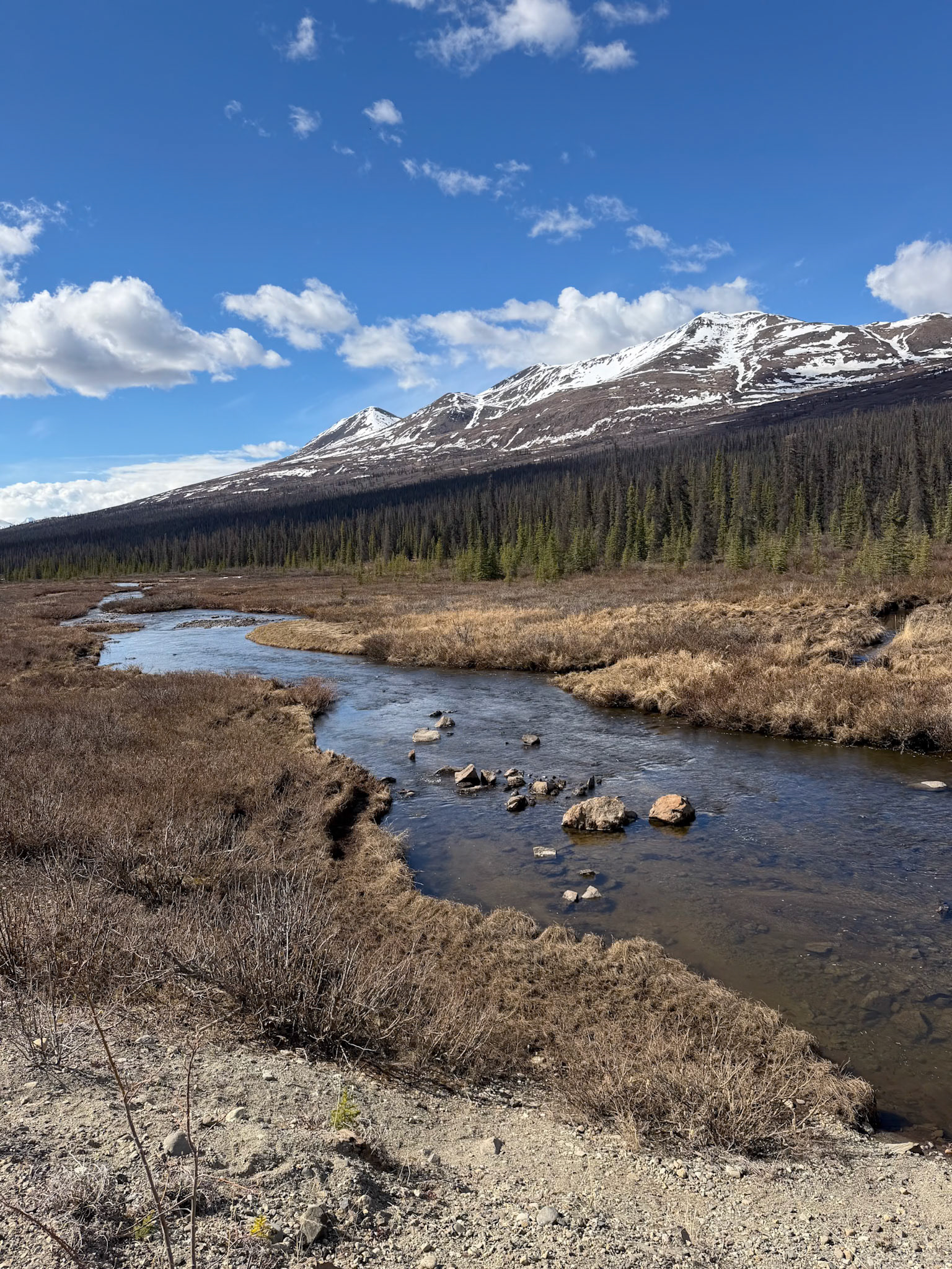 Another View in Cantwell