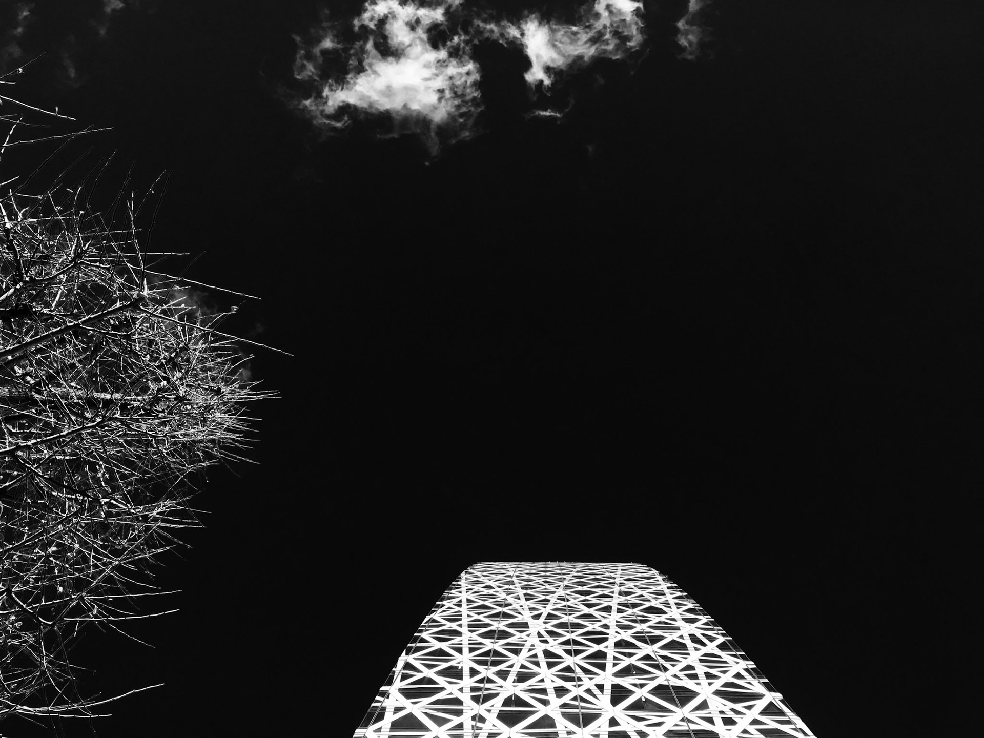 Full-frame shot of architecture details in black and white.