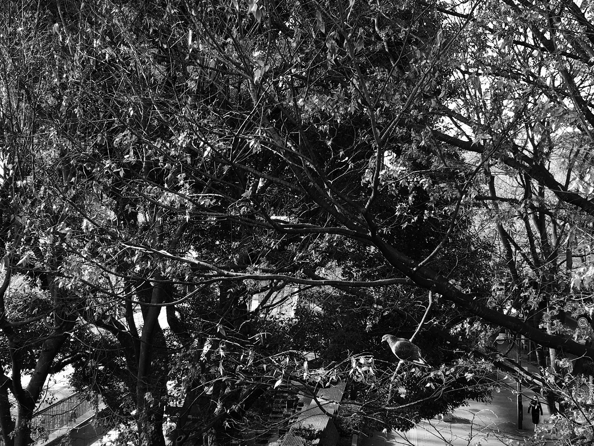 Full-frame shot of architecture details in black and white.