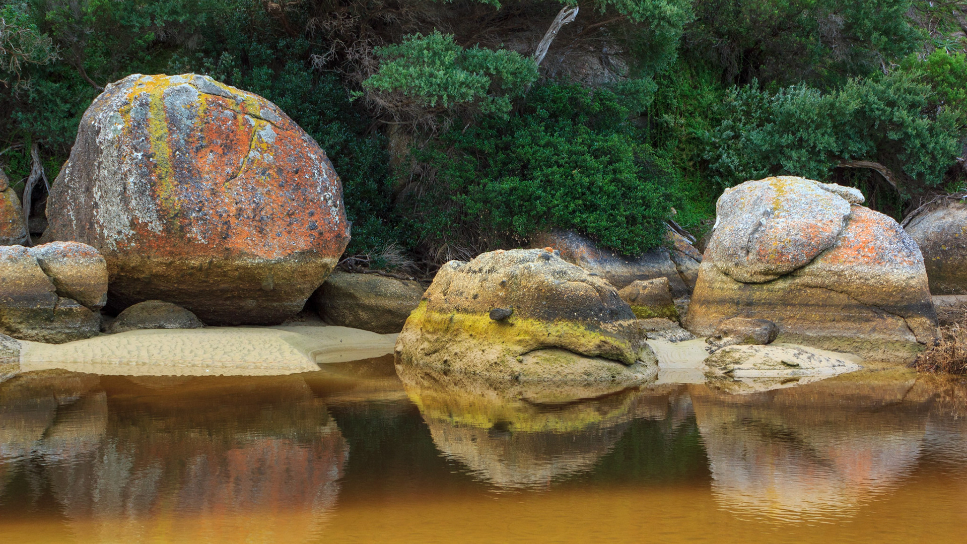 Wilsons Promontory National Park