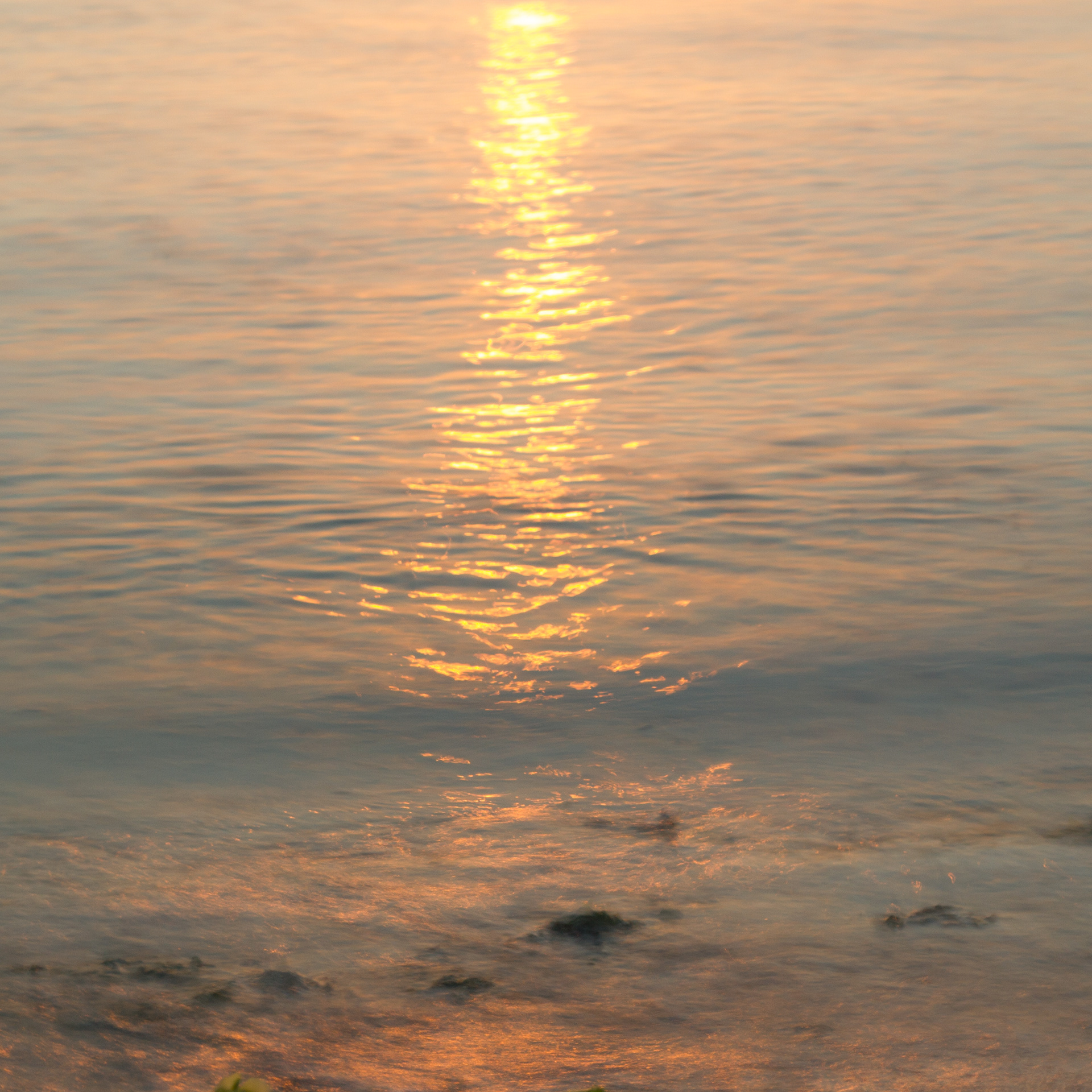 Twilight Sea