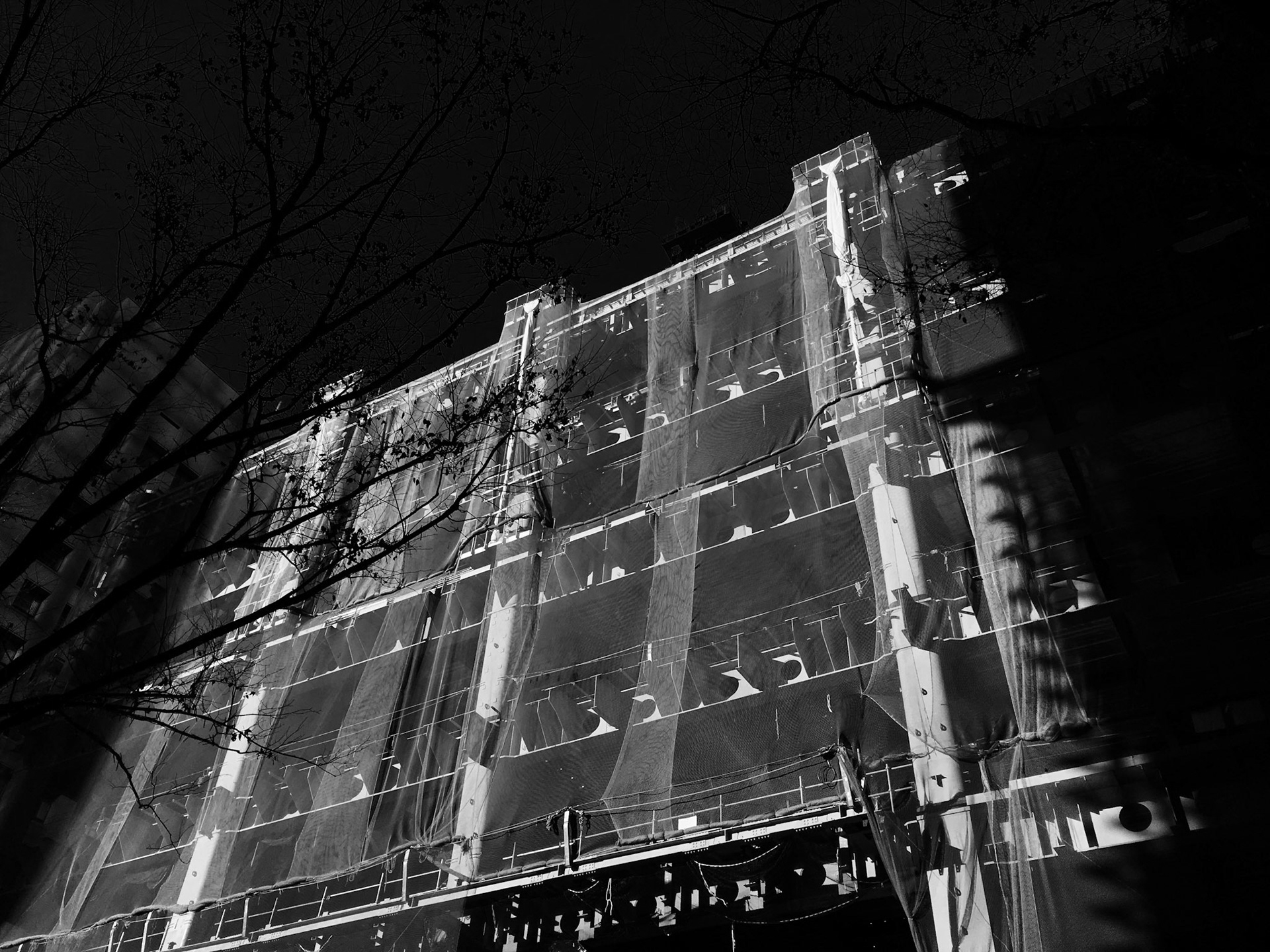 Full-frame shot of architecture details in black and white.
