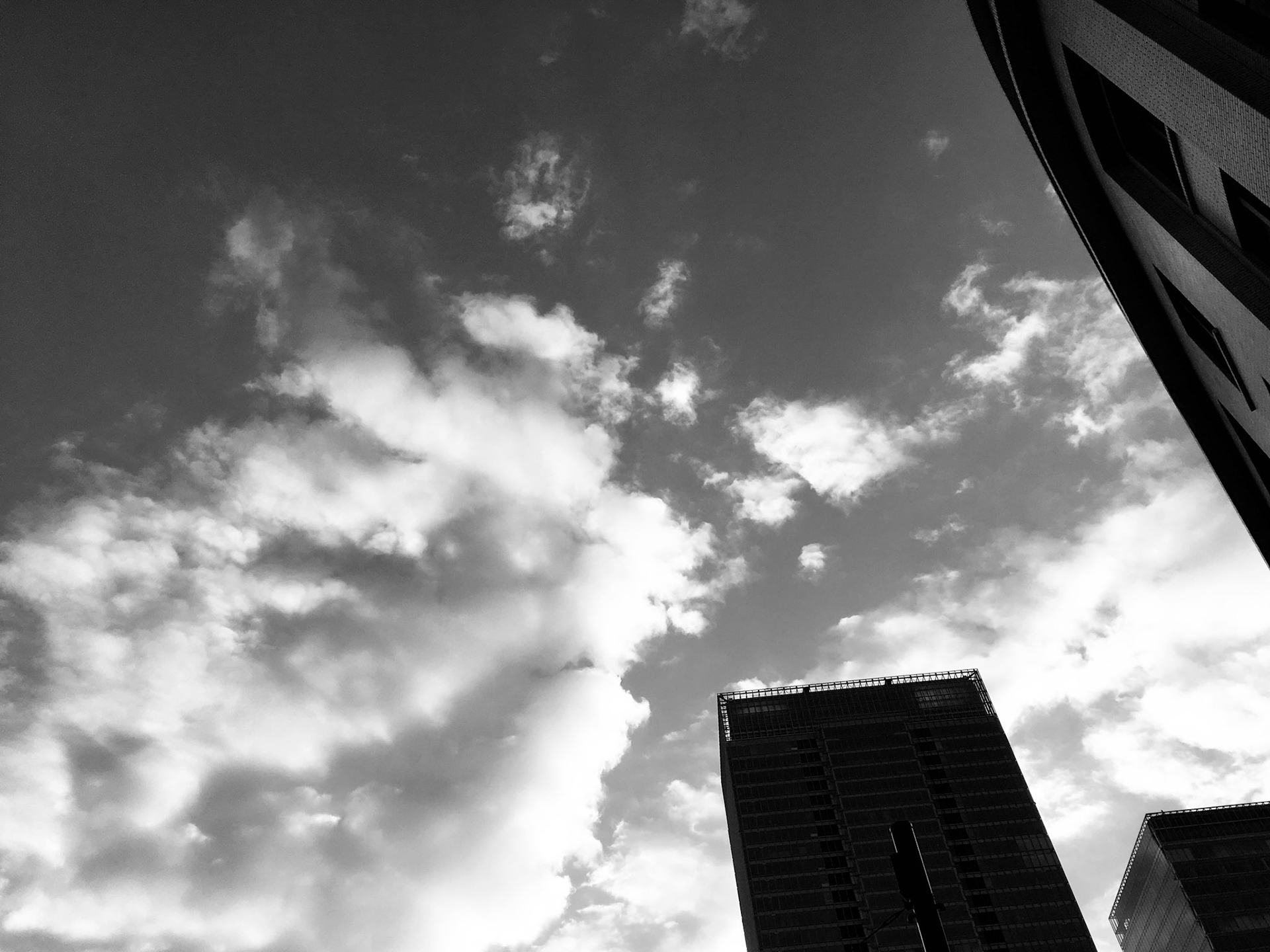 Full-frame shot of architecture details in black and white.