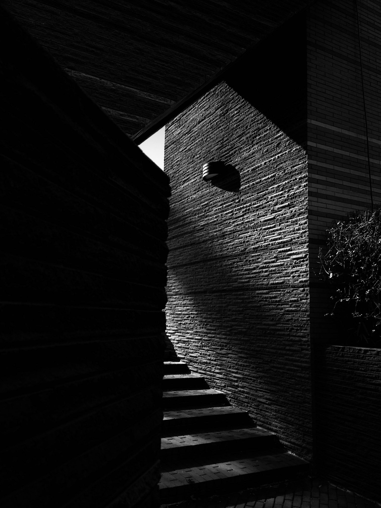 Full-frame shot of architecture details in black and white.