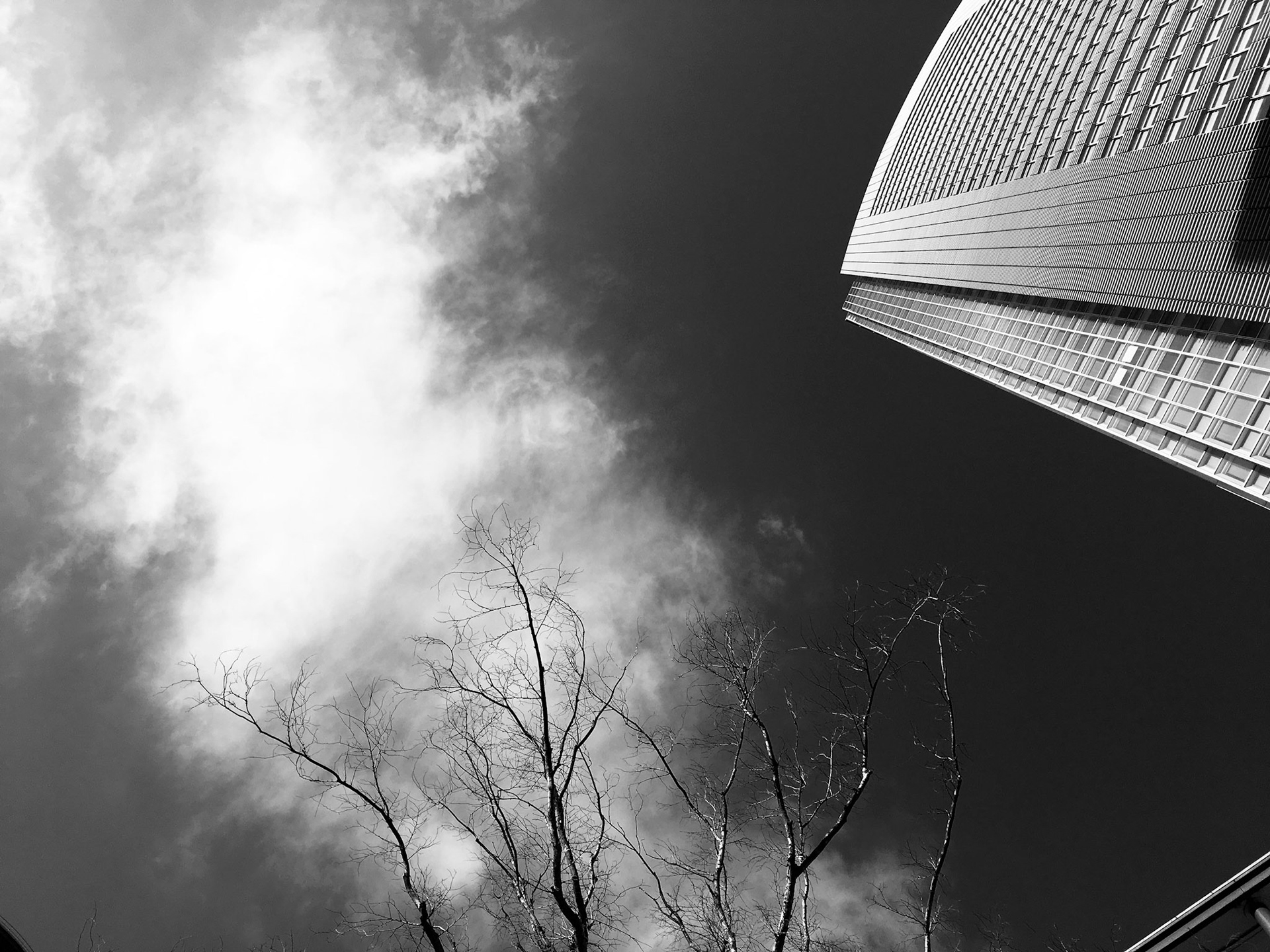 Full-frame shot of architecture details in black and white.