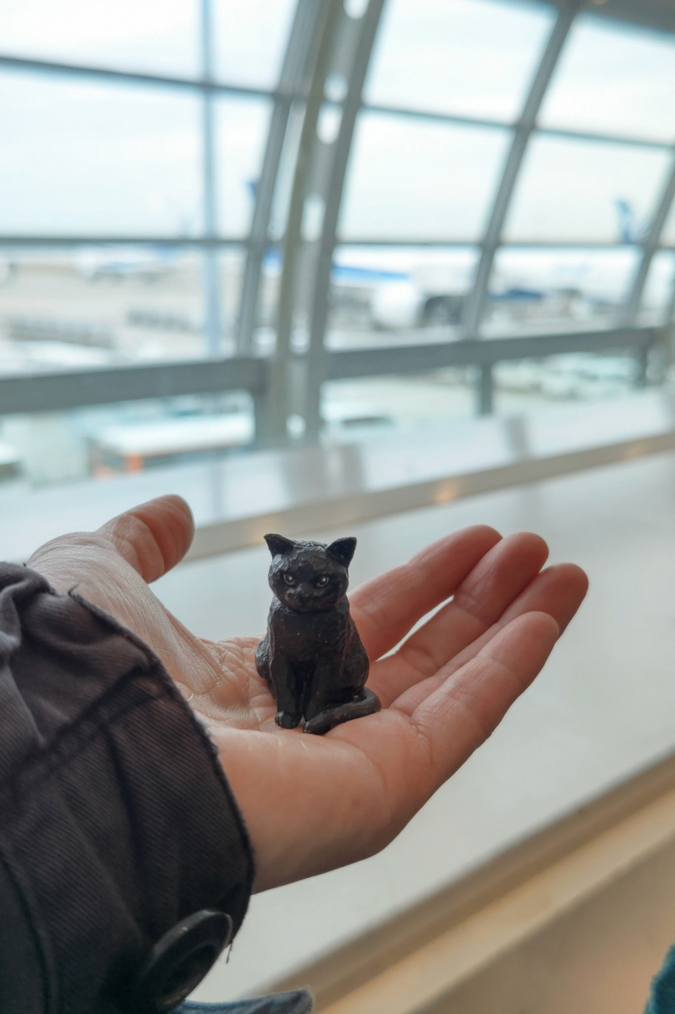 旅のお供