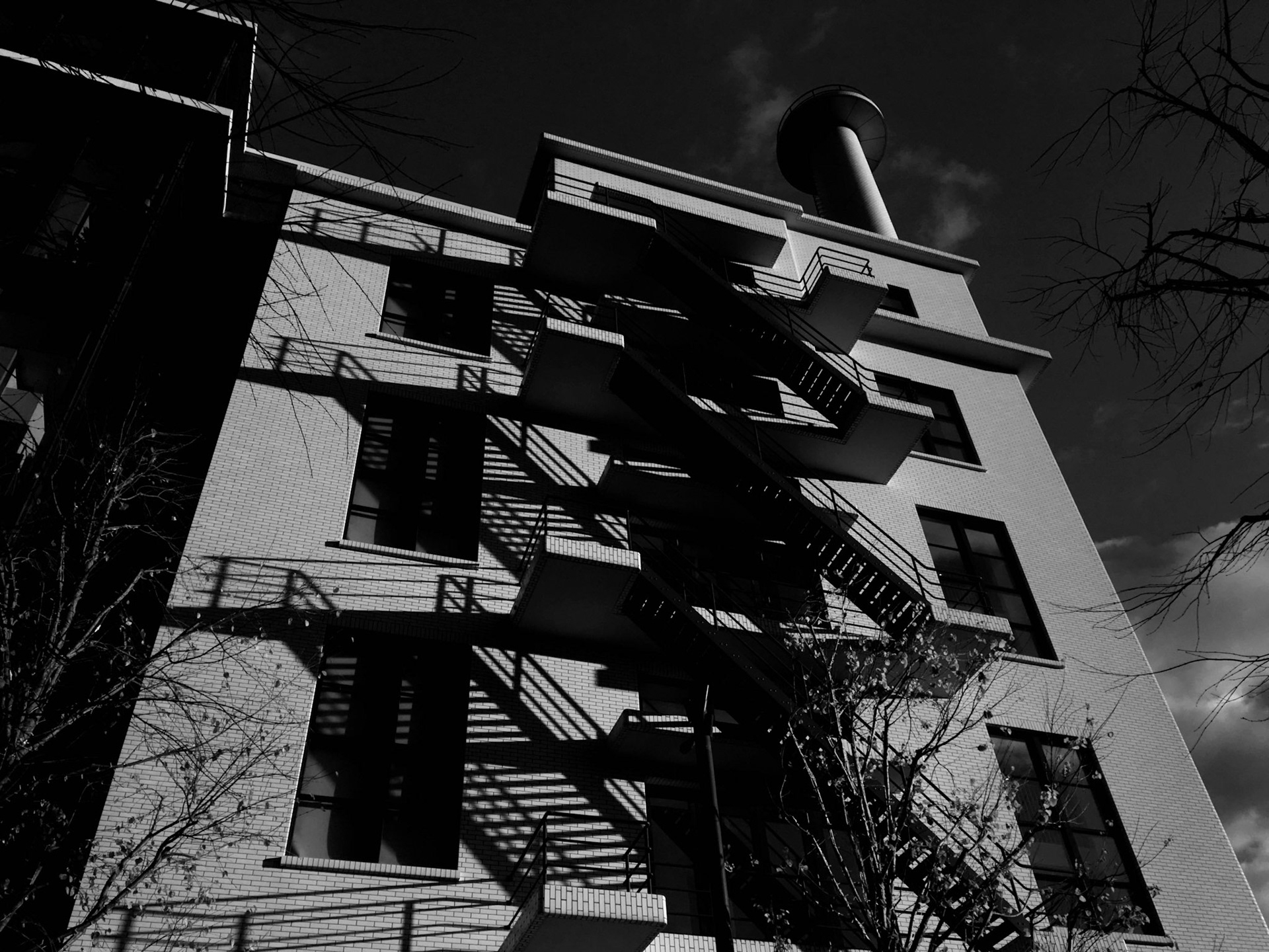 Full-frame shot of architecture details in black and white.